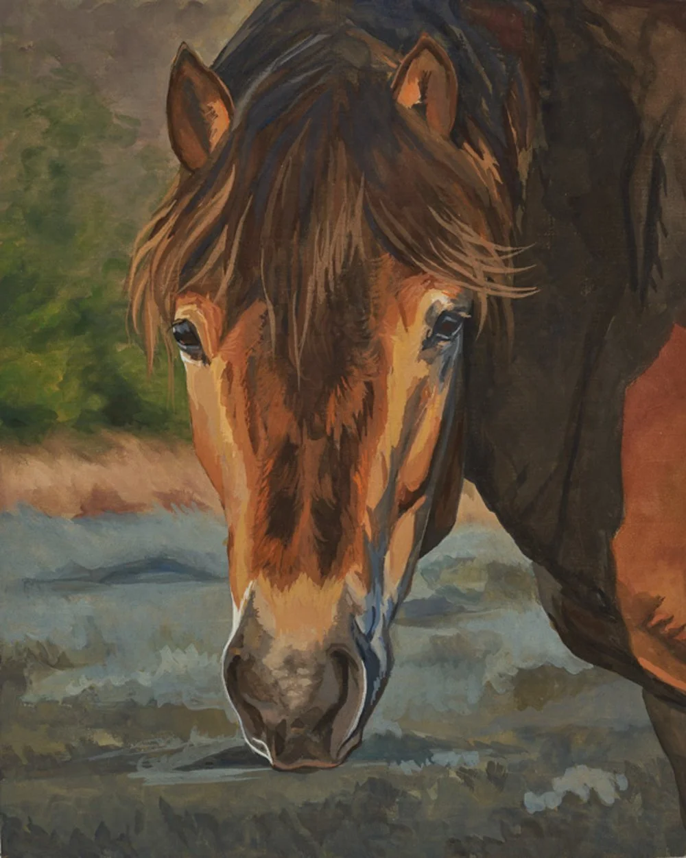 Soft Curiosity Detail.jpg