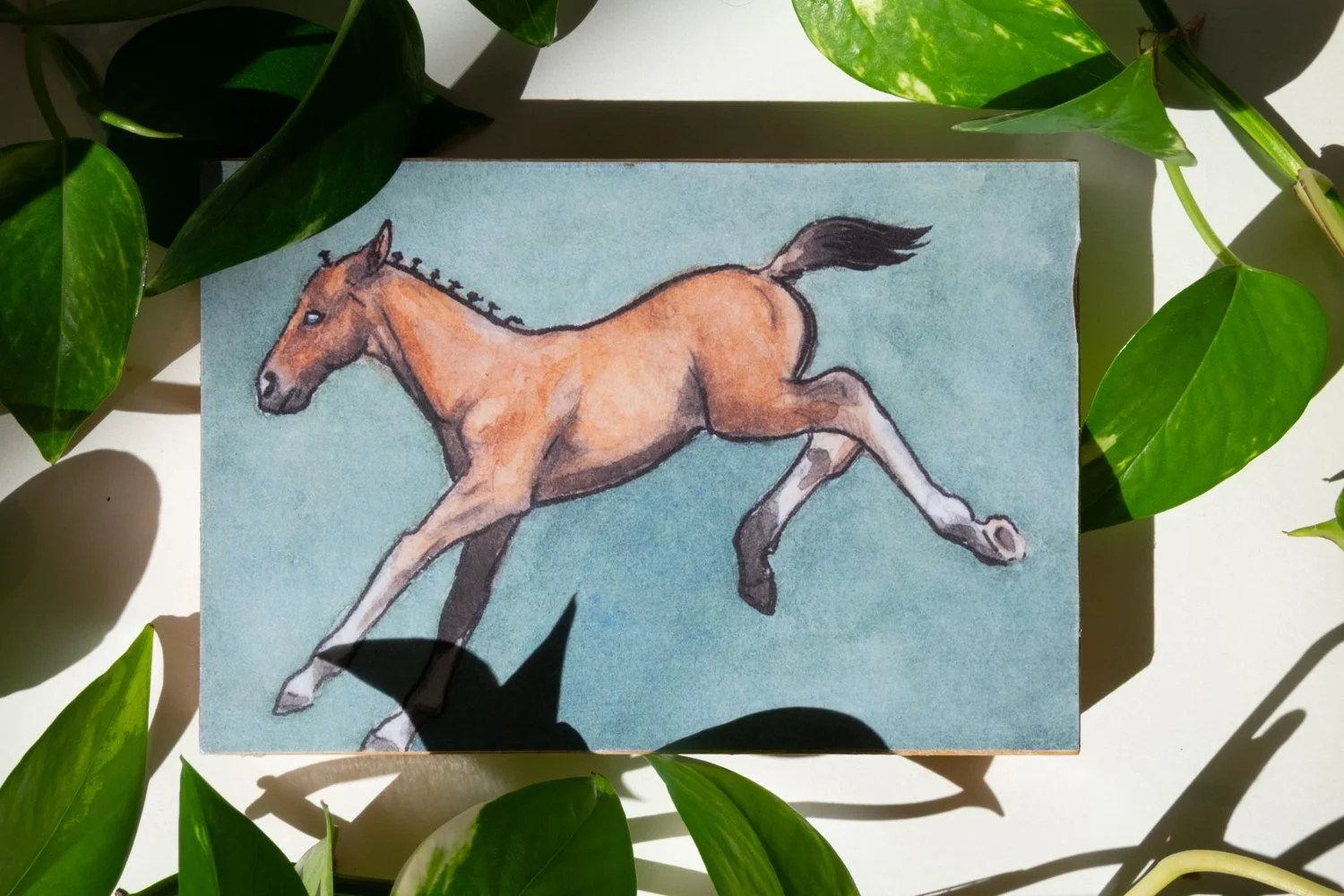 "Frisky Foal" Wood Panel Print