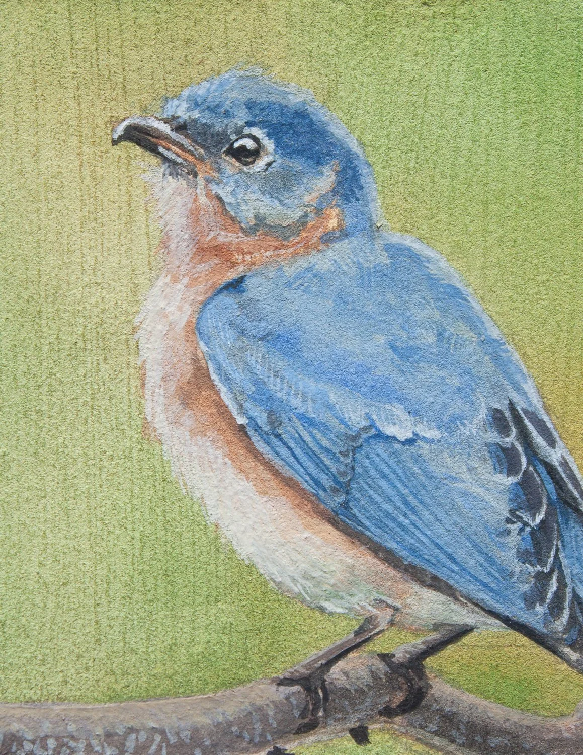 Eastern Bluebird in Gouache Card.jpg