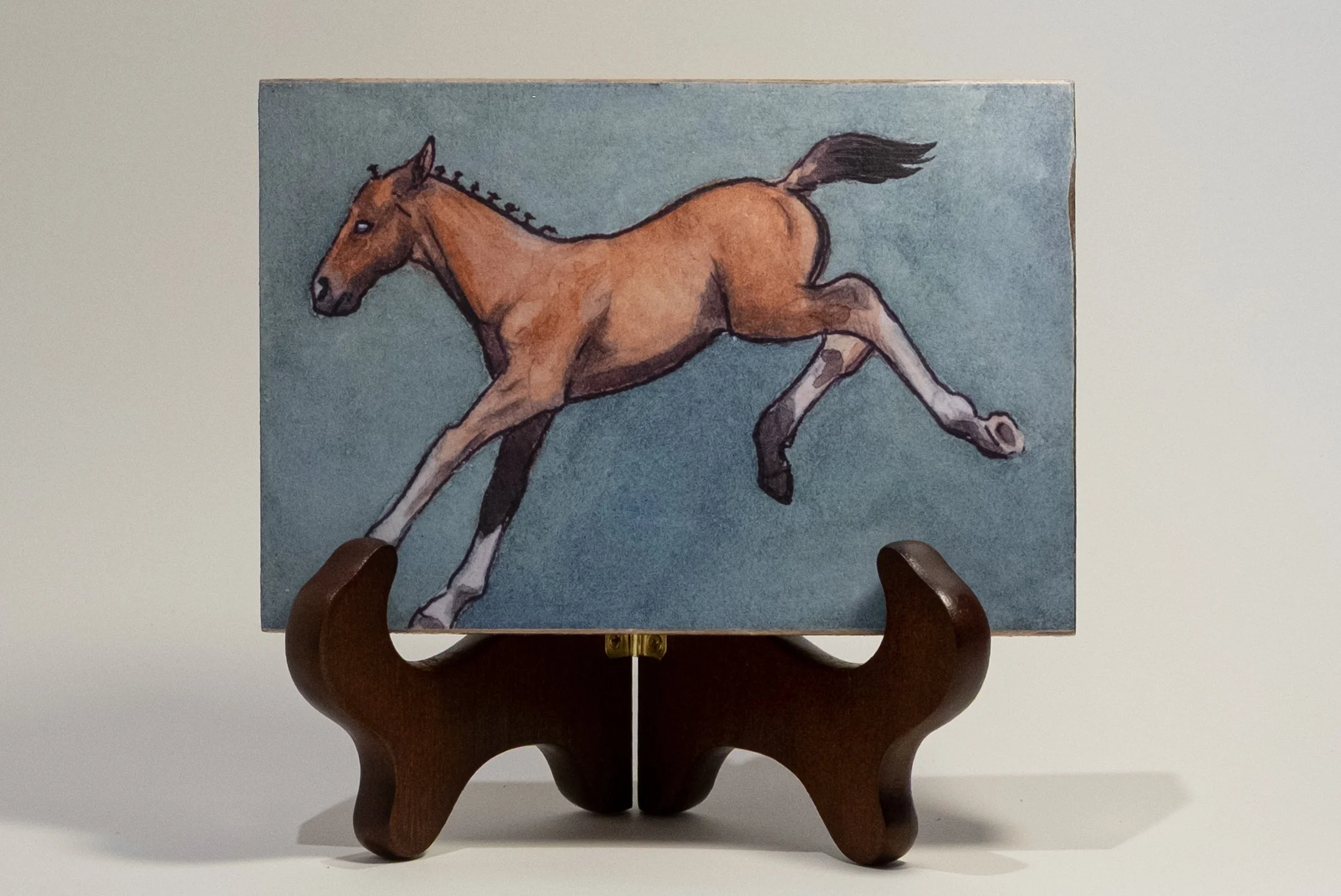 Frisky Foal Front.jpg