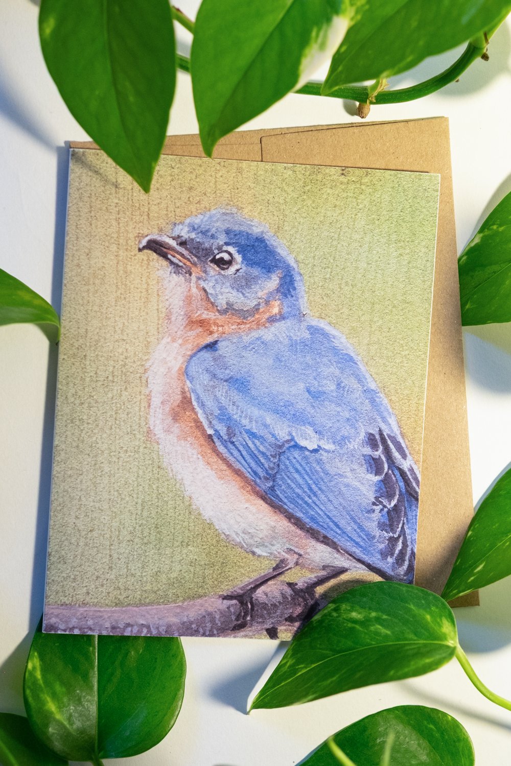 "Gouache Eastern Bluebird" A2 Blank Greeting Card