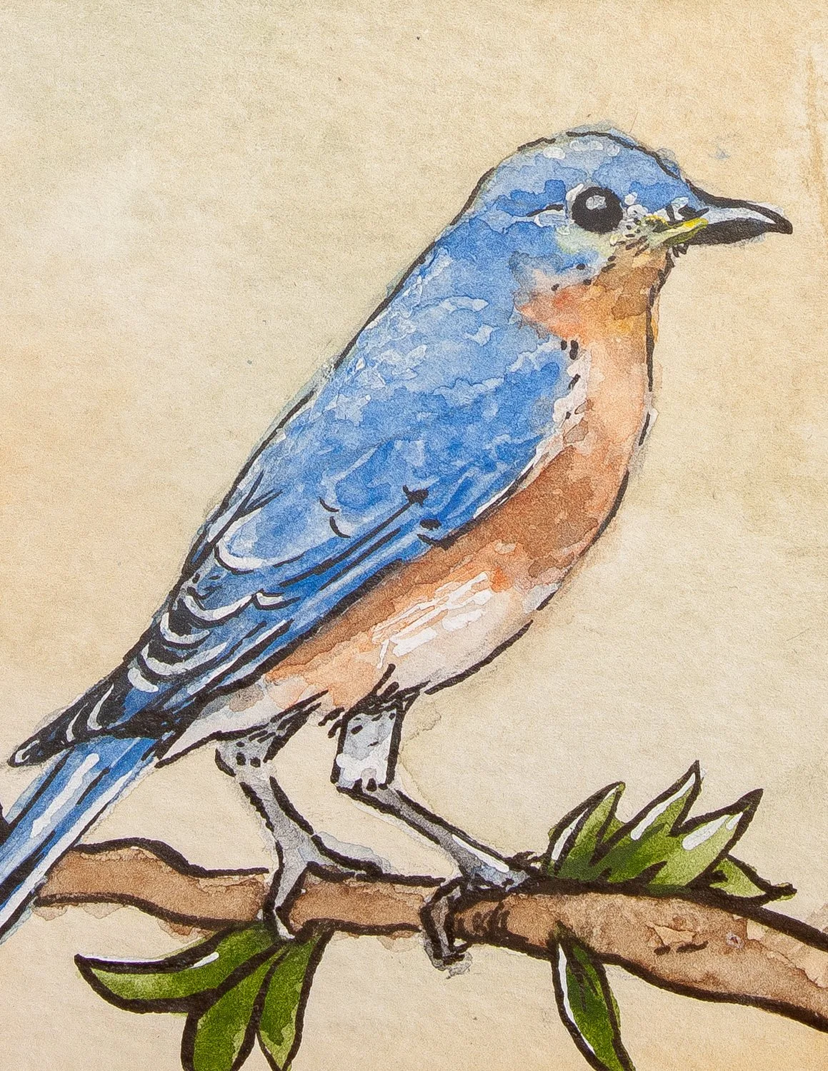 Mosaic Eastern Bluebird Card.jpg