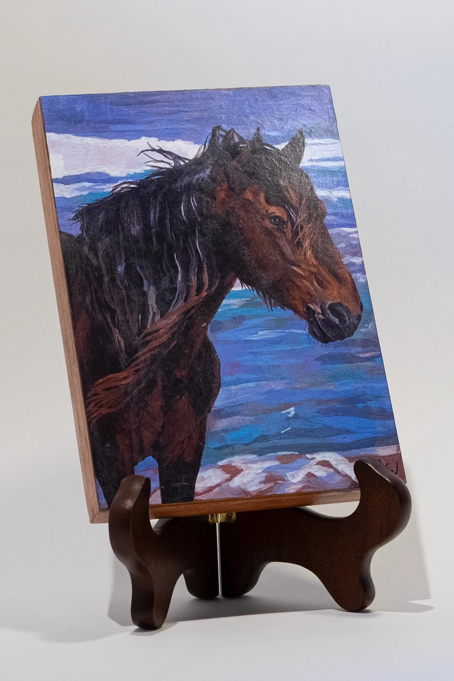 Sea Spray Side.jpg