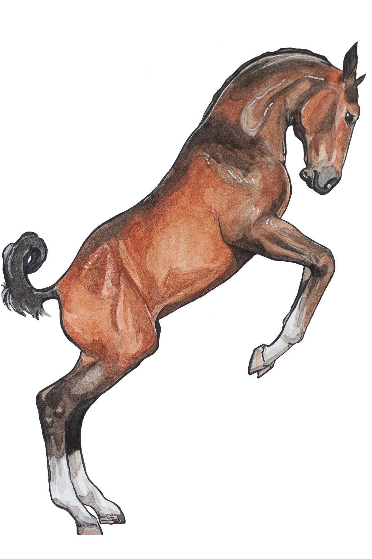 Prancing_Pony_Sticker_Large.png