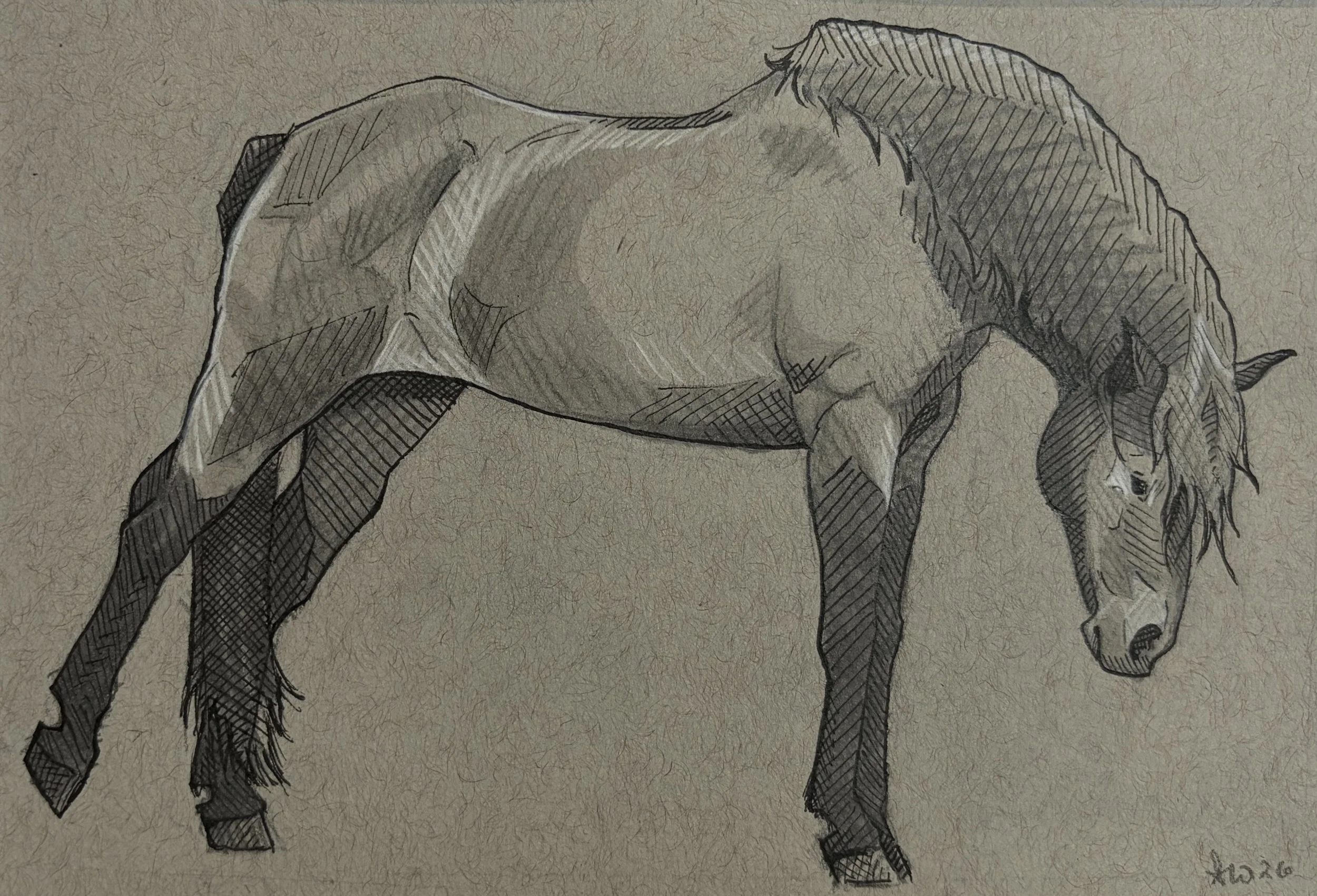 "Morning Stretch" 5"x7" Mixed Media on Toned Paper