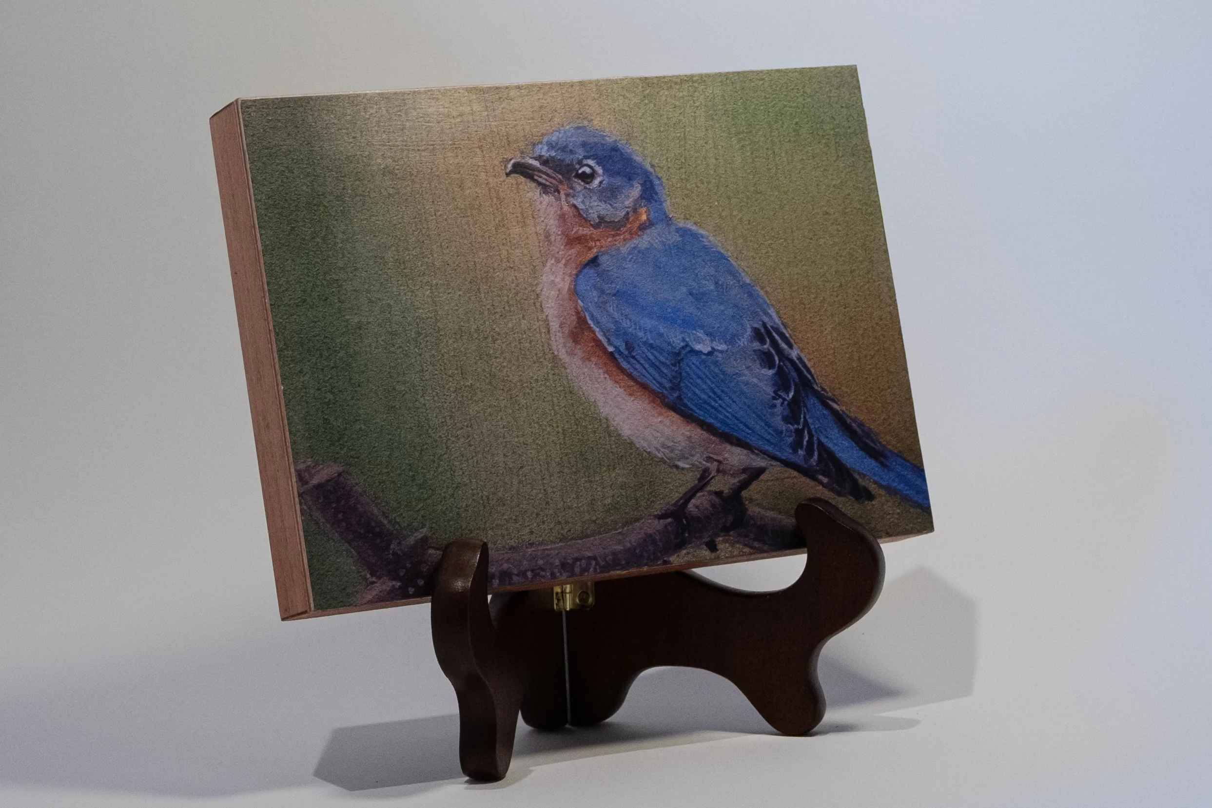 "Eastern Bluebird" Wood Panel Print