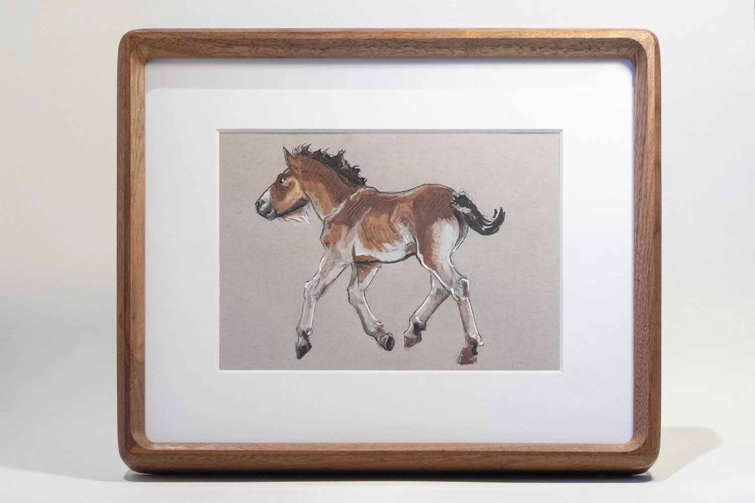 Exmoor Foal Sketch Front.jpg