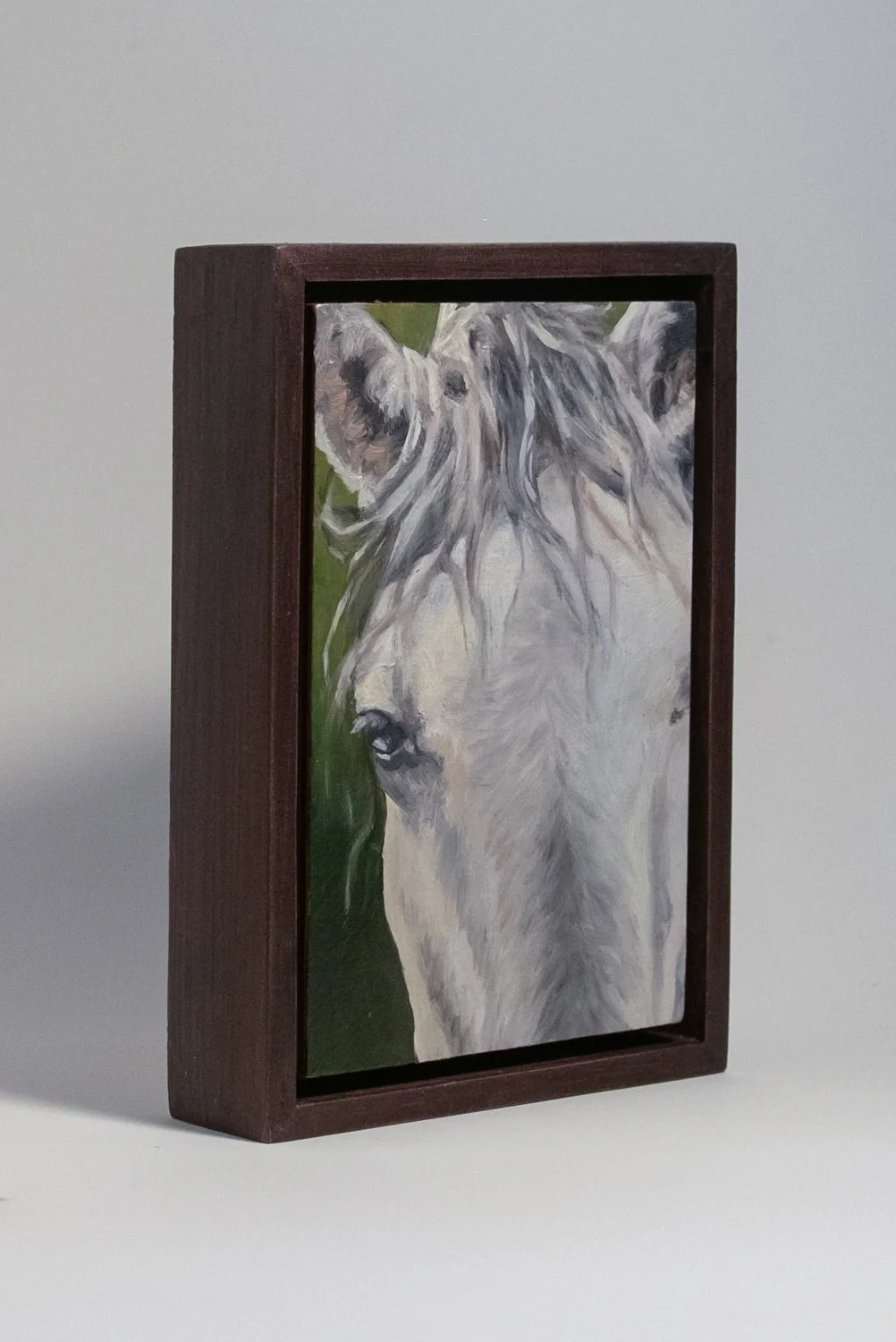 Soft Stallion Side-2.jpg