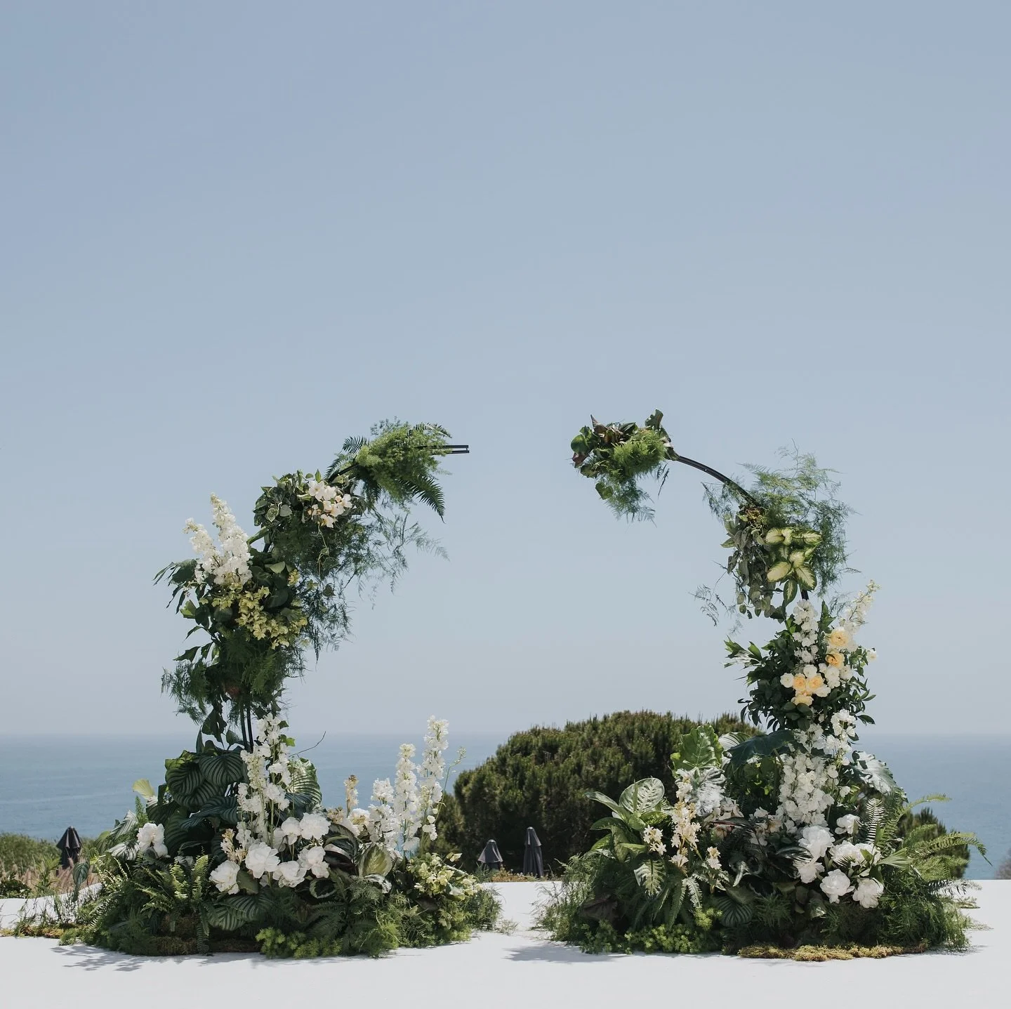 The wedding arch looked like it grew straight out of a fairytale forest! 

Lush with monsteras, calatheas, and soft white blooms tucked between layers of greenery. 

A reminder to all brides: your arch can be whatever you imagine with the right flori