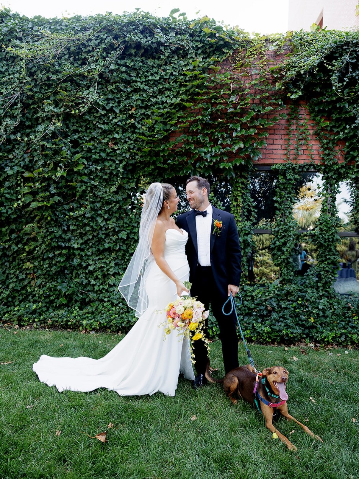 Your wedding day is about celebrating your whole love story and yes, that includes the fur babies 🐾🤍

As a wedding planner, I always encourage my couples to think about ways to include the pets who have been part of their journey. Whether that&rsqu