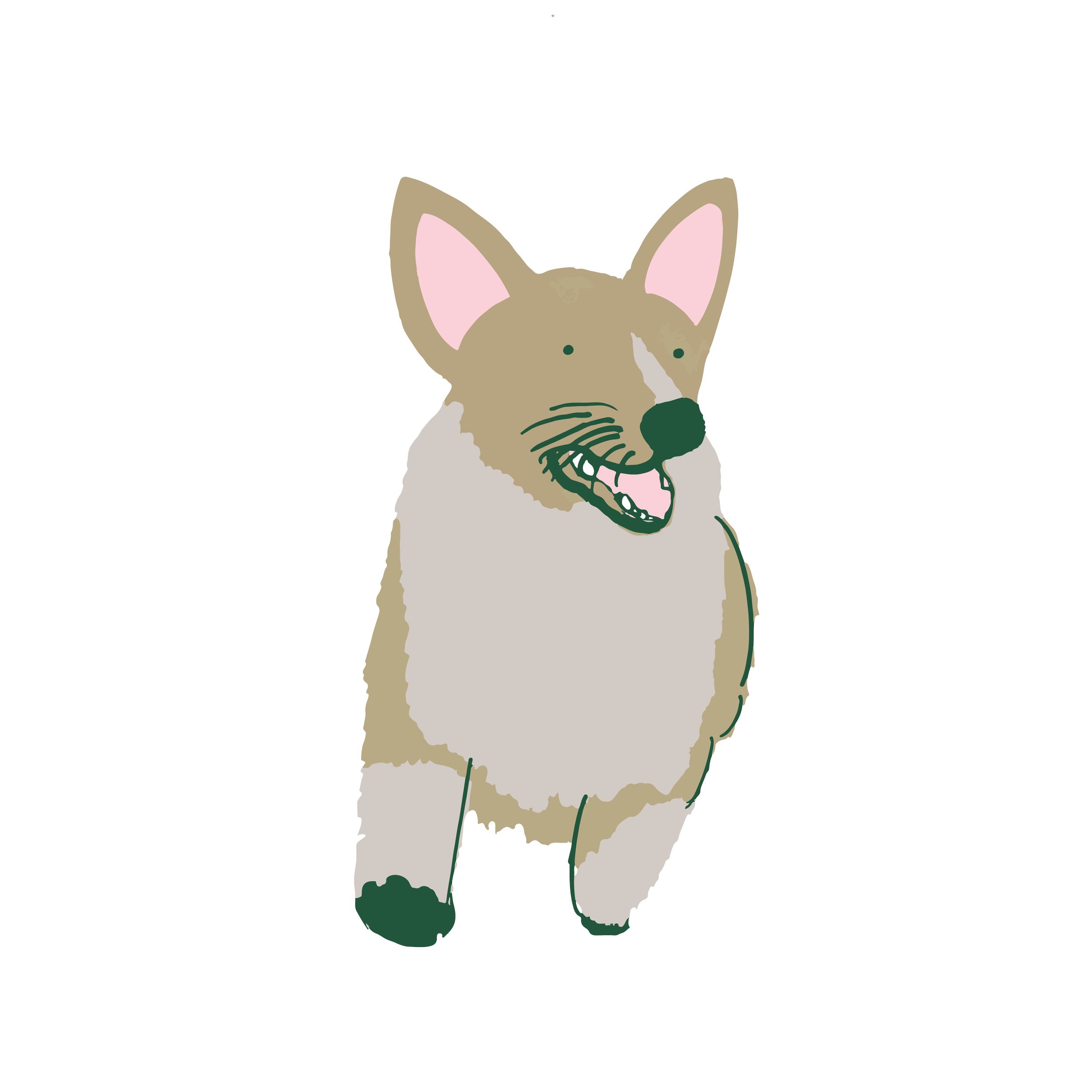 Pawfect Pup drawings-02.png