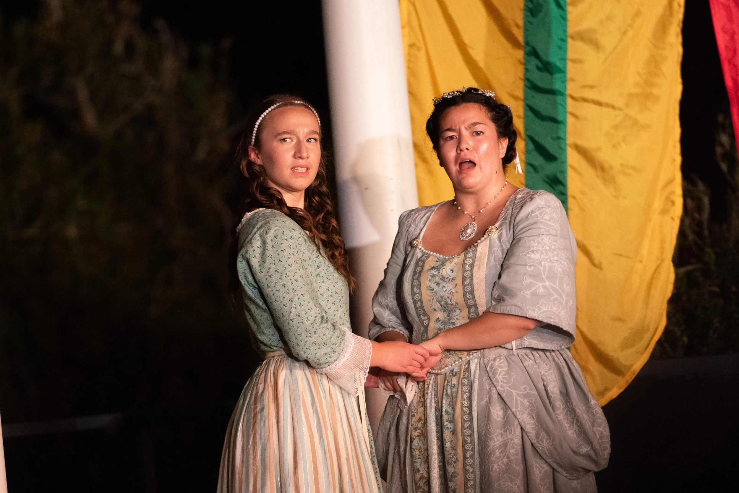 2024.7.27 comedy of errors closing night 2 llh-66.jpg