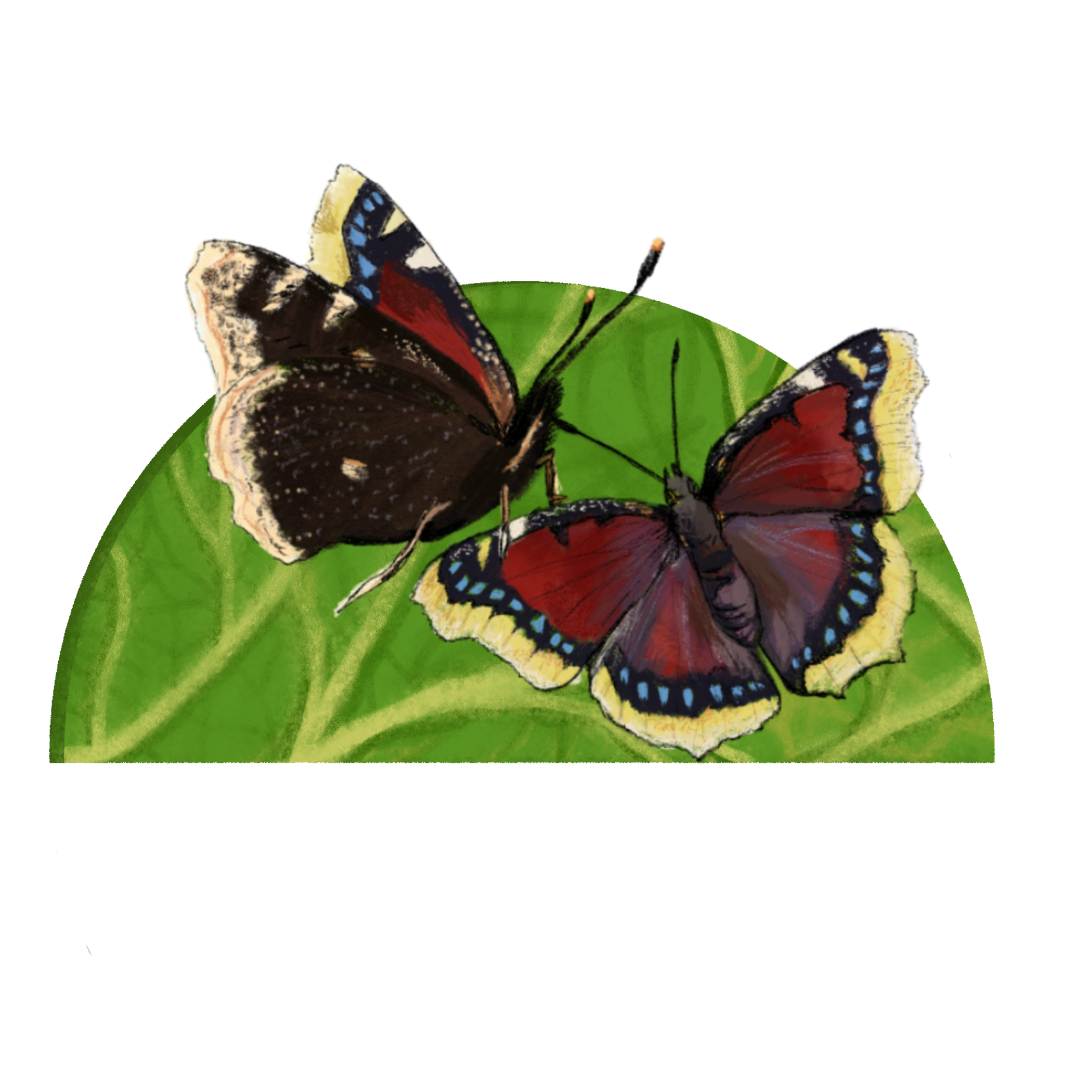 Untitled - April 10, 2025 13.03.14.png