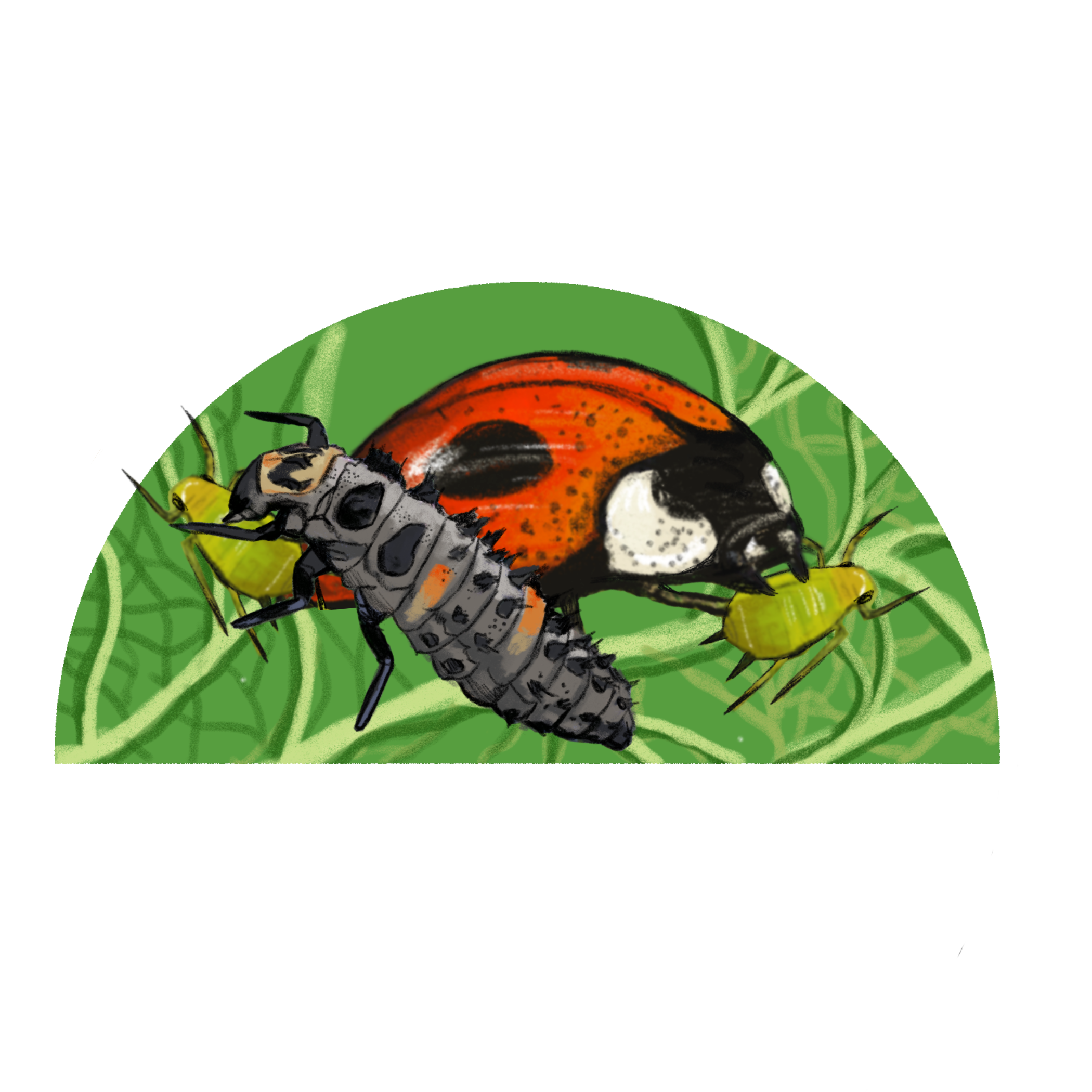 Untitled - April 10, 2025 13.03.14.png