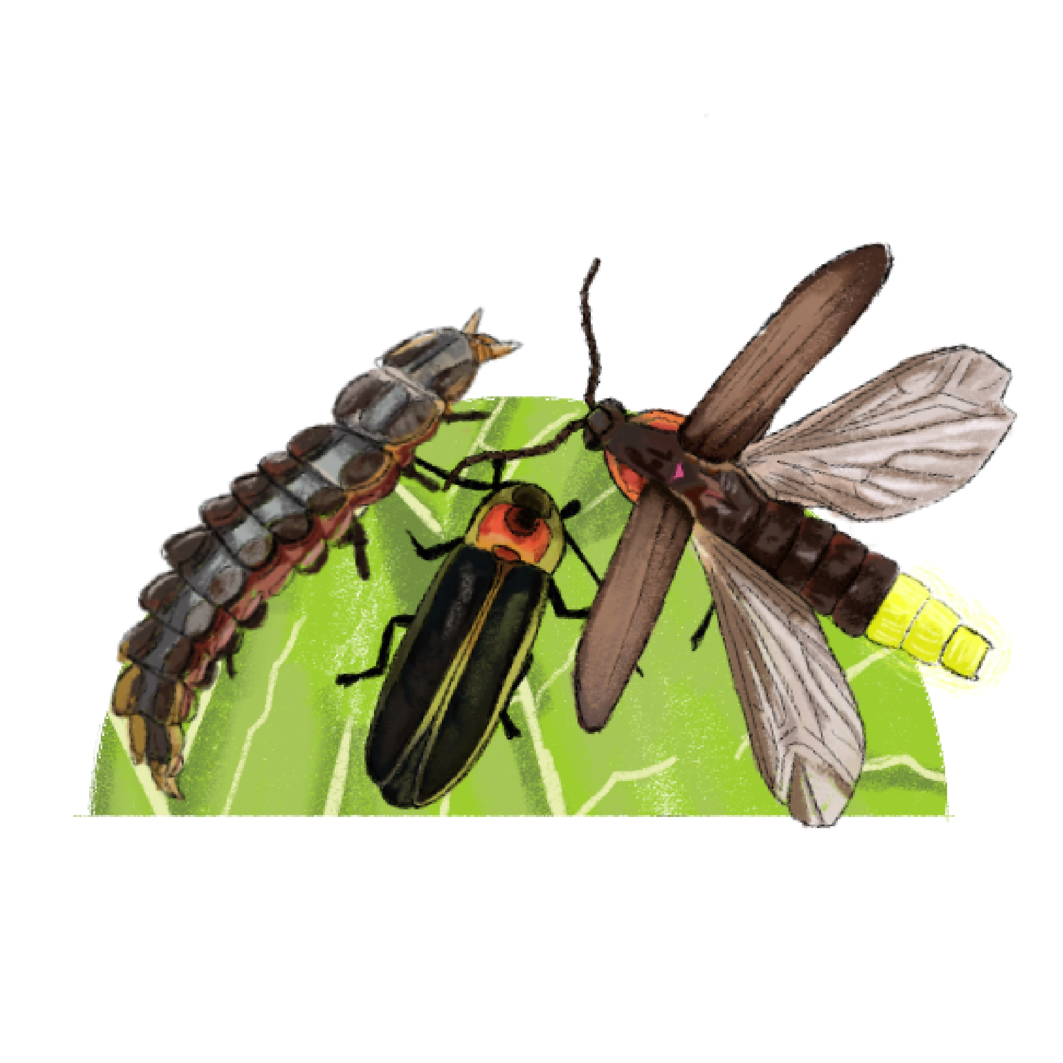 Untitled - April 10, 2025 13.03.14.png