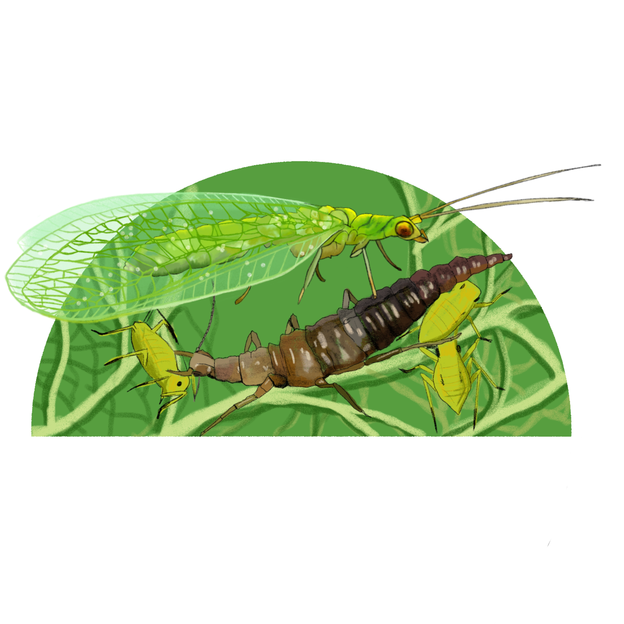 Untitled - April 10, 2025 13.03.14.png