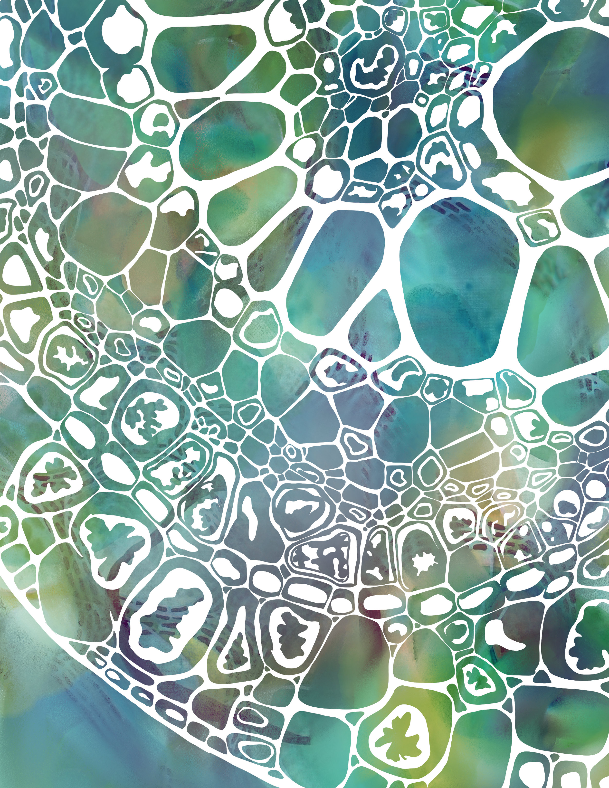Brilliant Beautiful Bones.png
