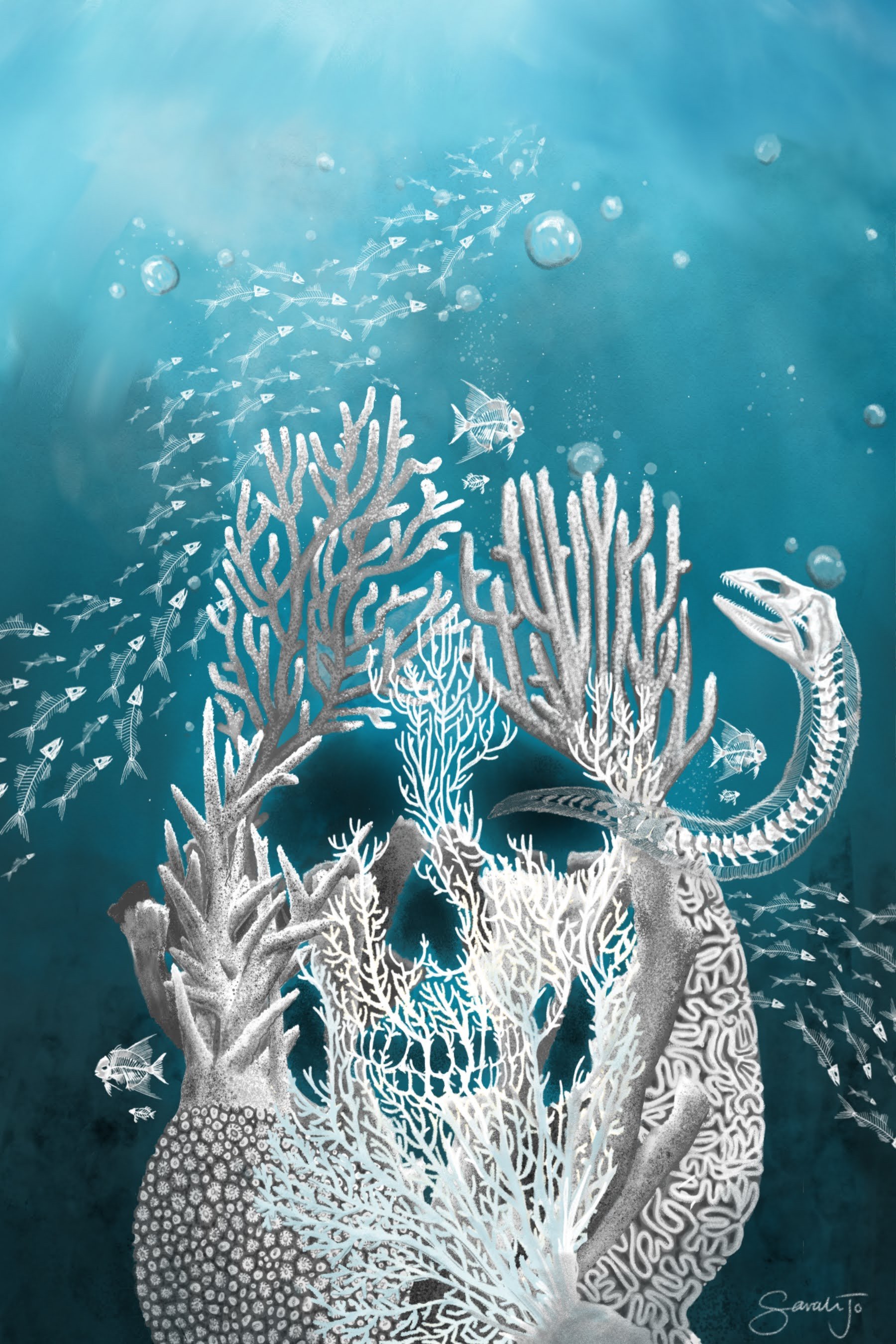 skull.jpg