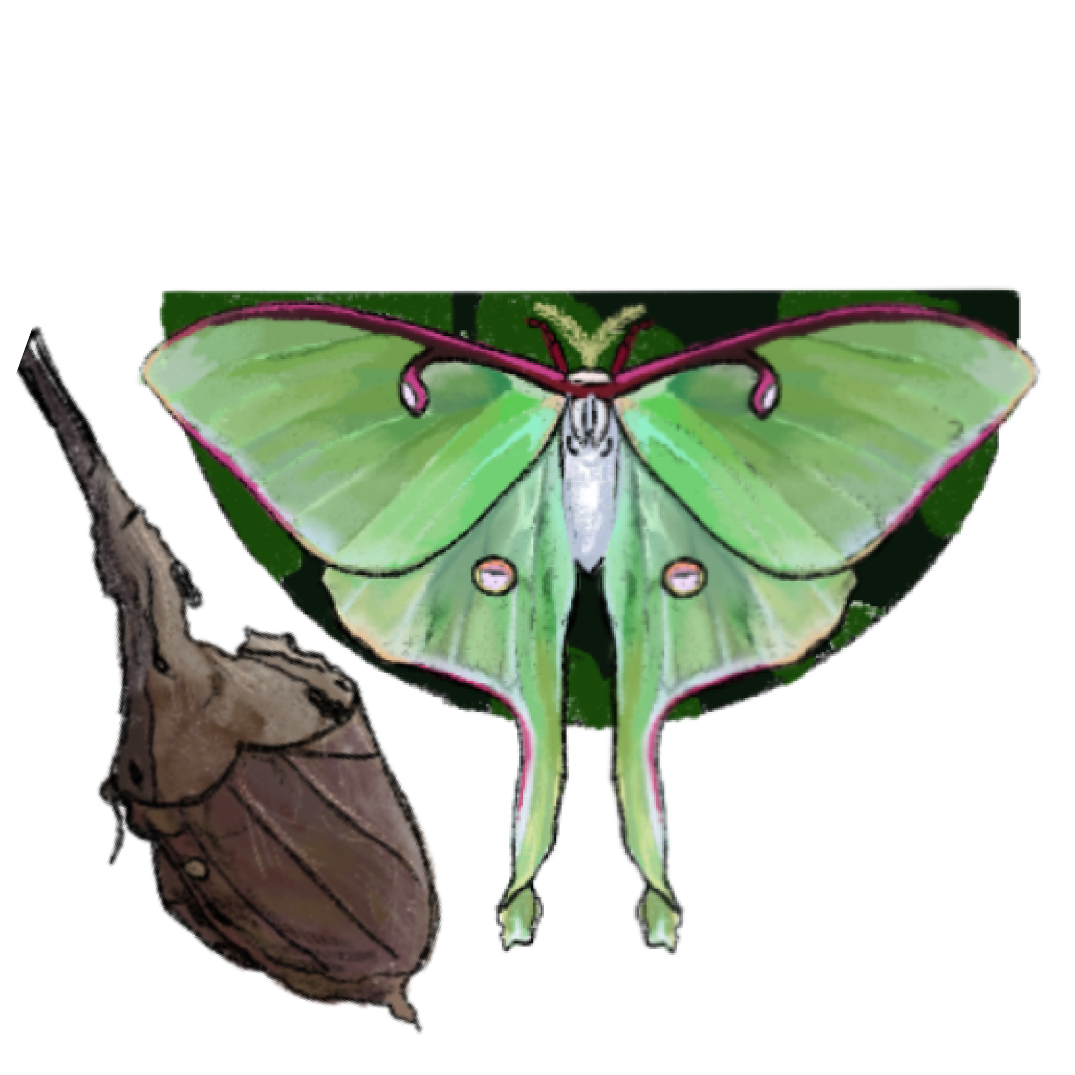 Untitled - April 10, 2025 13.03.14.png