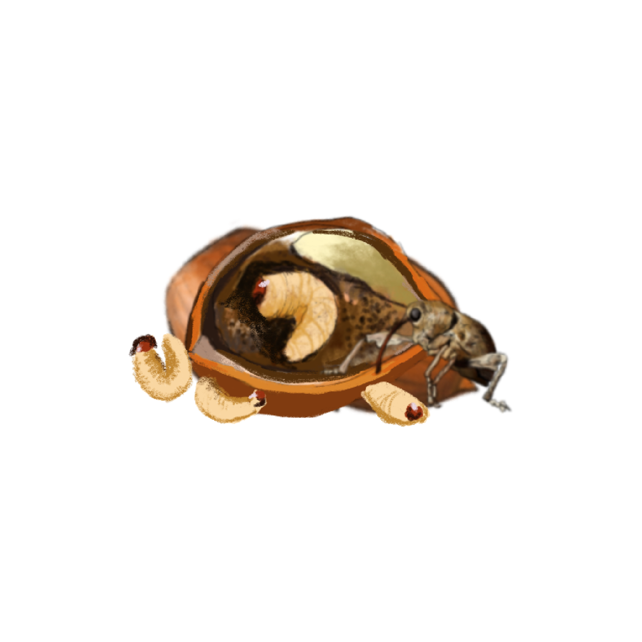 Untitled - April 10, 2025 13.03.14.png