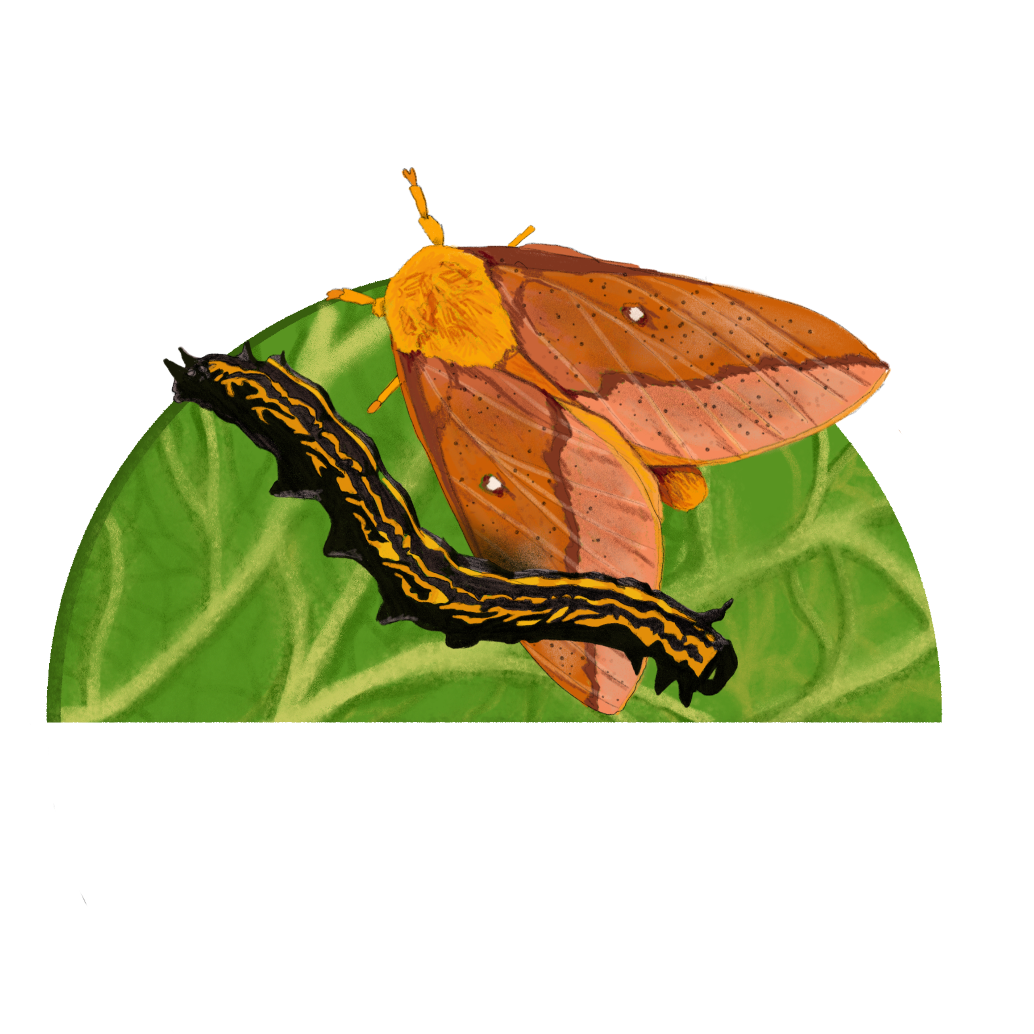 Untitled - April 10, 2025 13.03.14.png