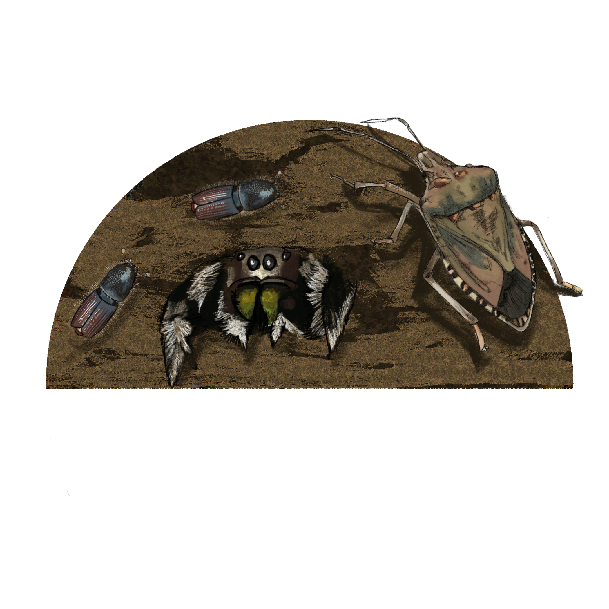 Untitled - April 10, 2025 13.03.14.png