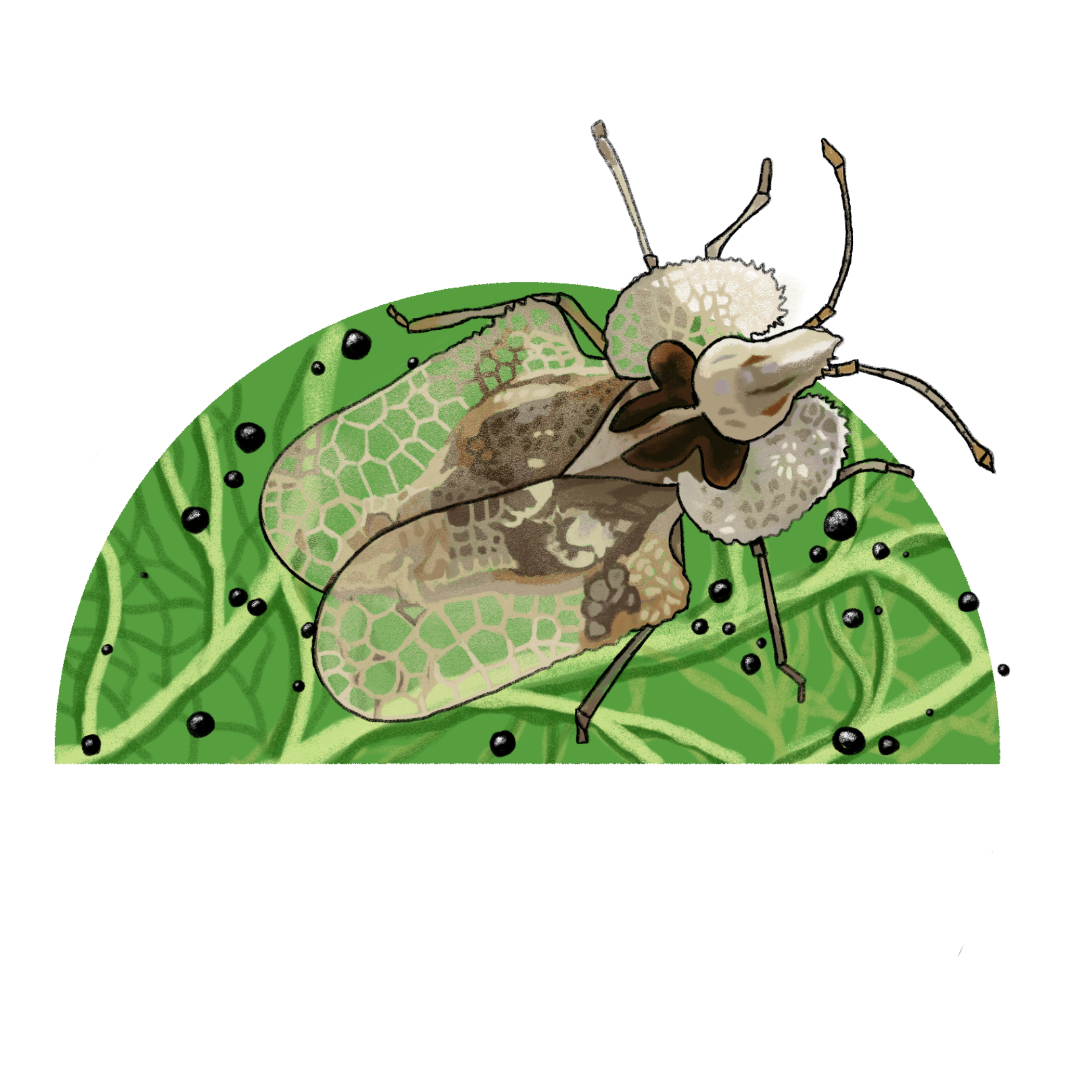 Untitled - April 10, 2025 13.03.14.png