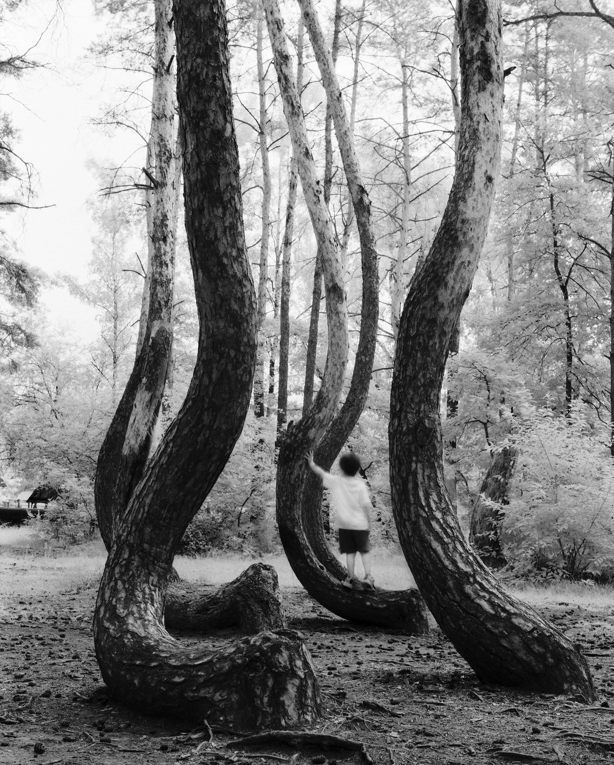 Untitled (5).jpg