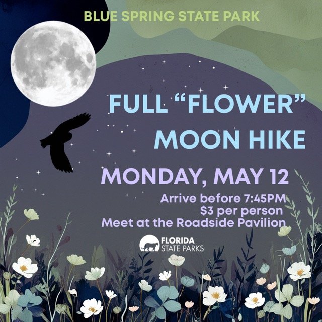 Full Moon Hike