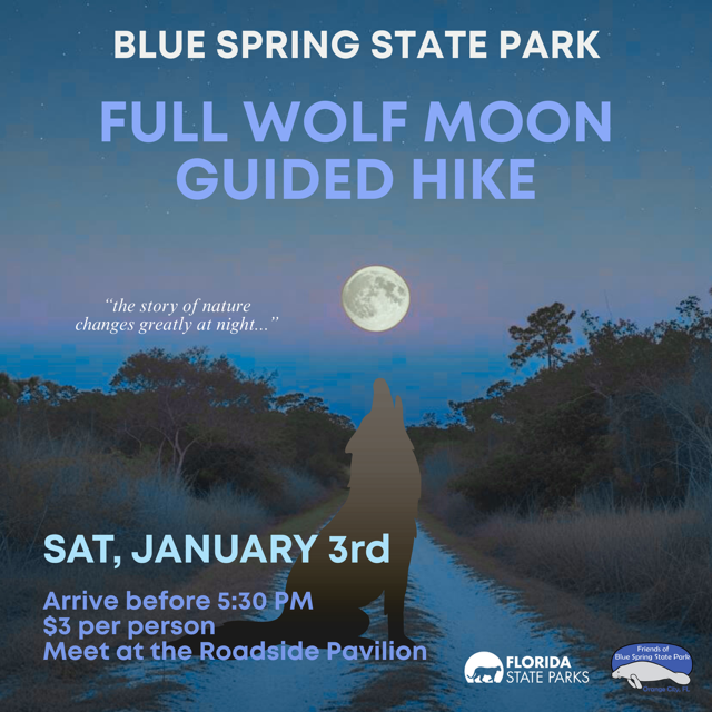 Full ‘Wolf” Moon Hike