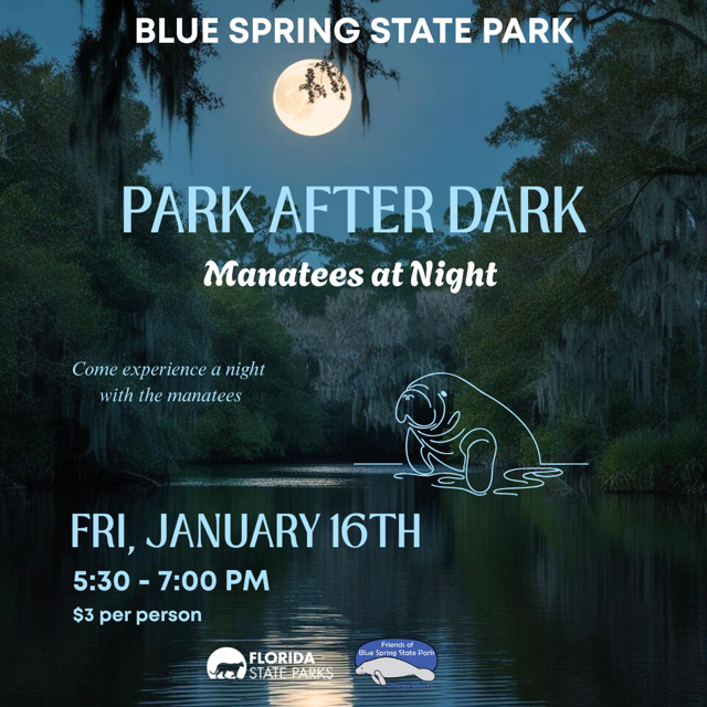 Park After Dark