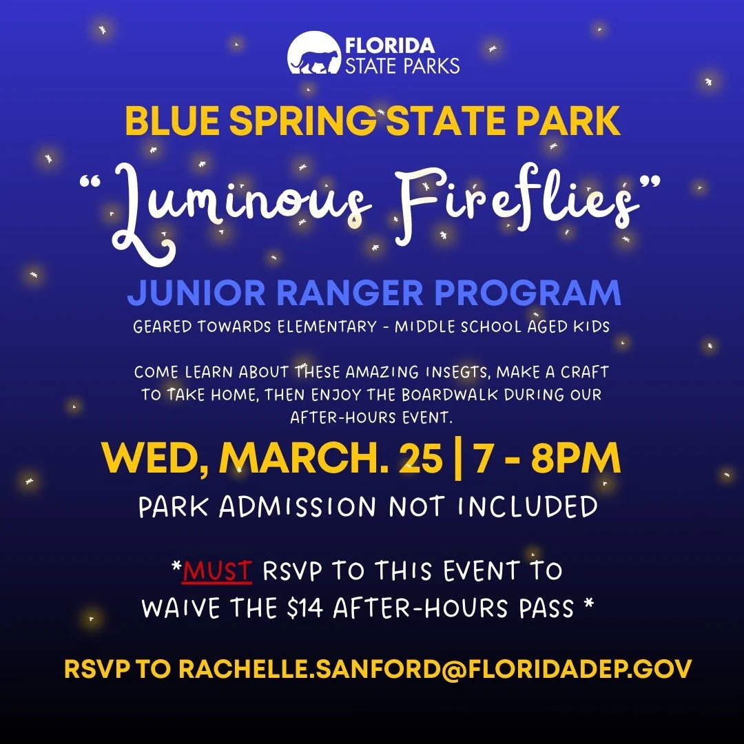 SPECIAL Junior Ranger Program - Luminous Fireflies