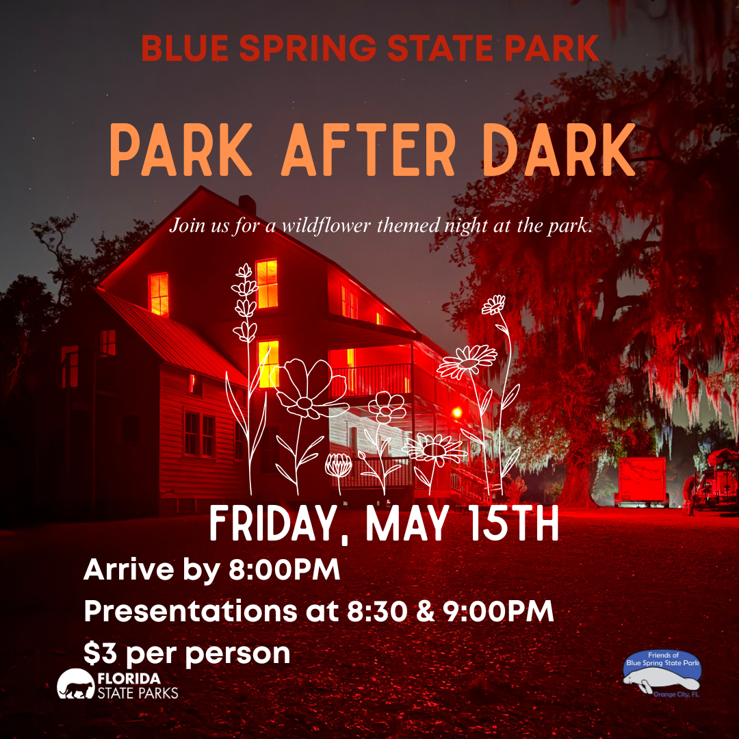 Park After Dark