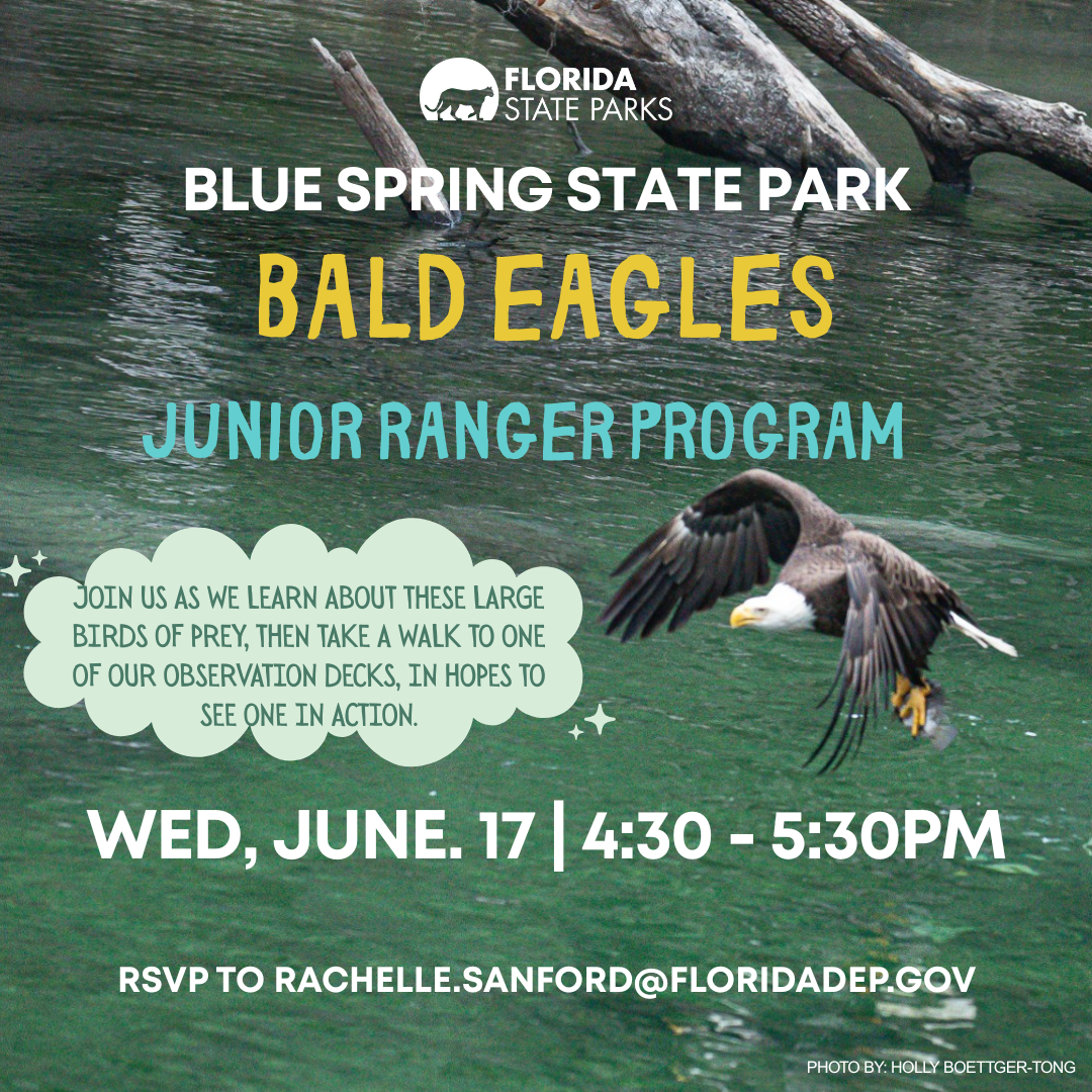 Junior Ranger Program 