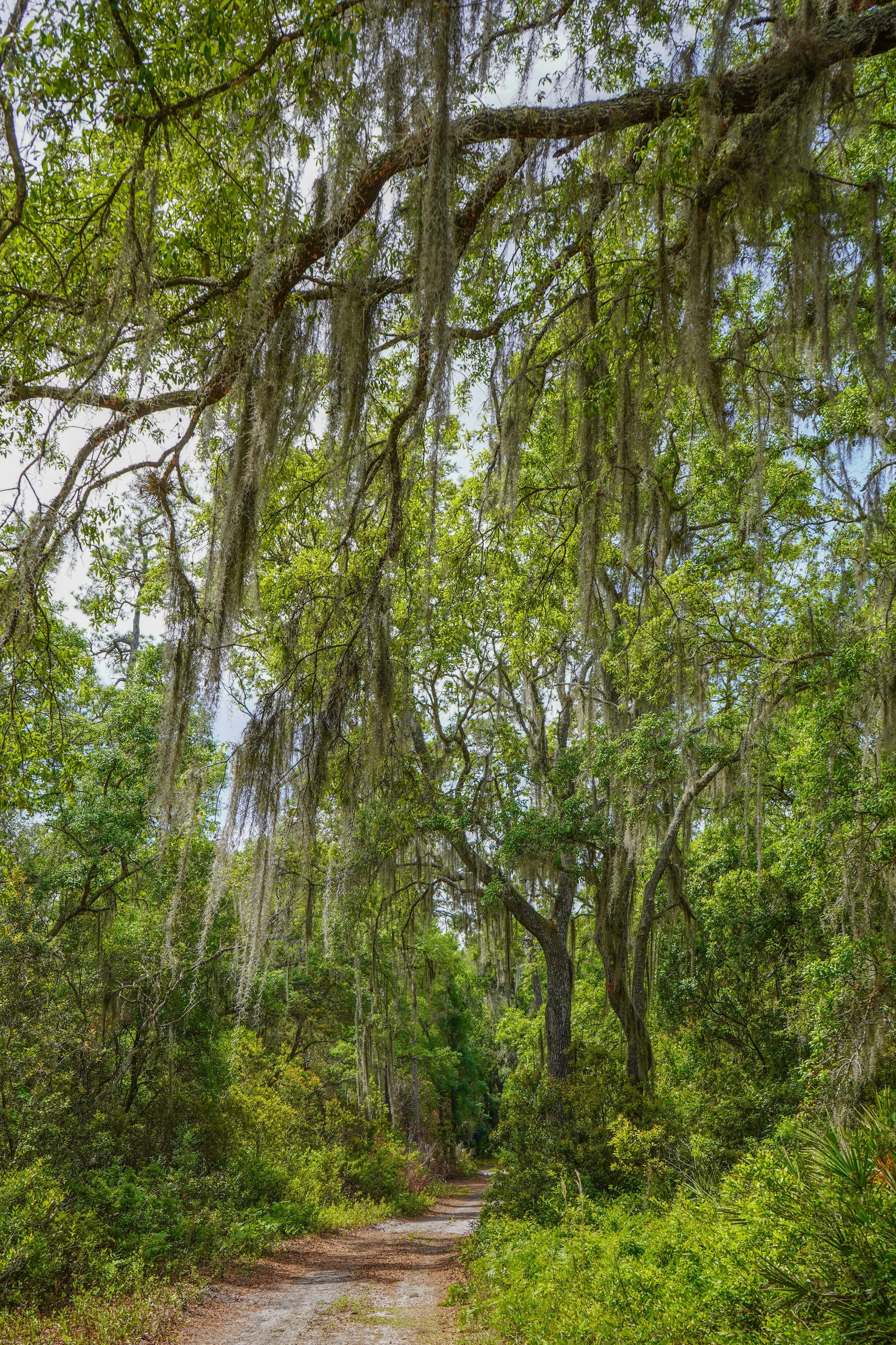 Stark Trail