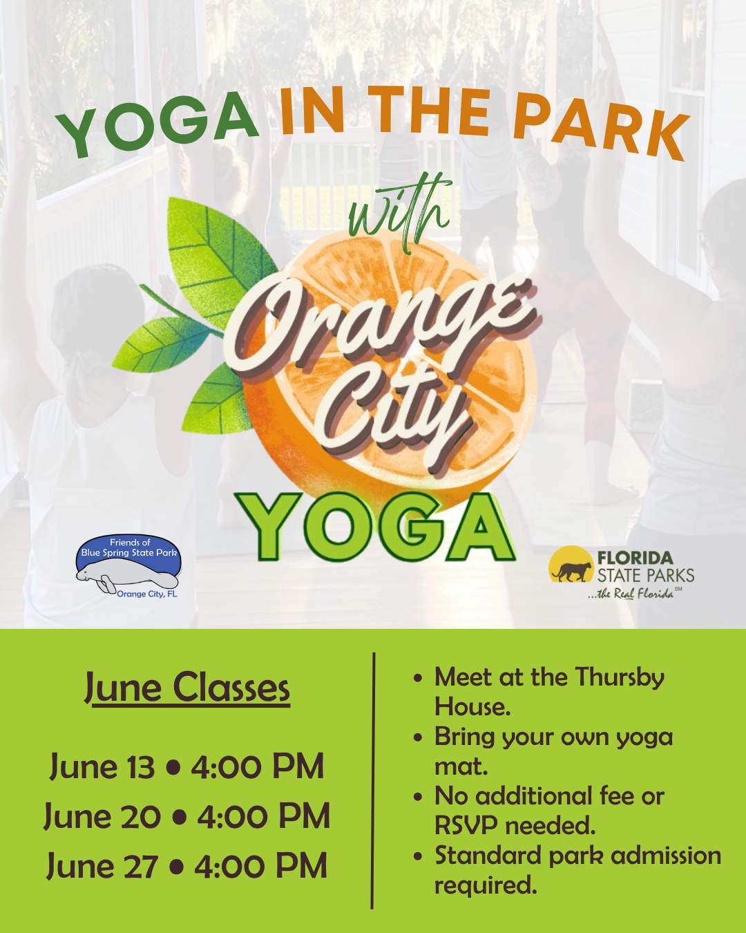Yoga In The Park