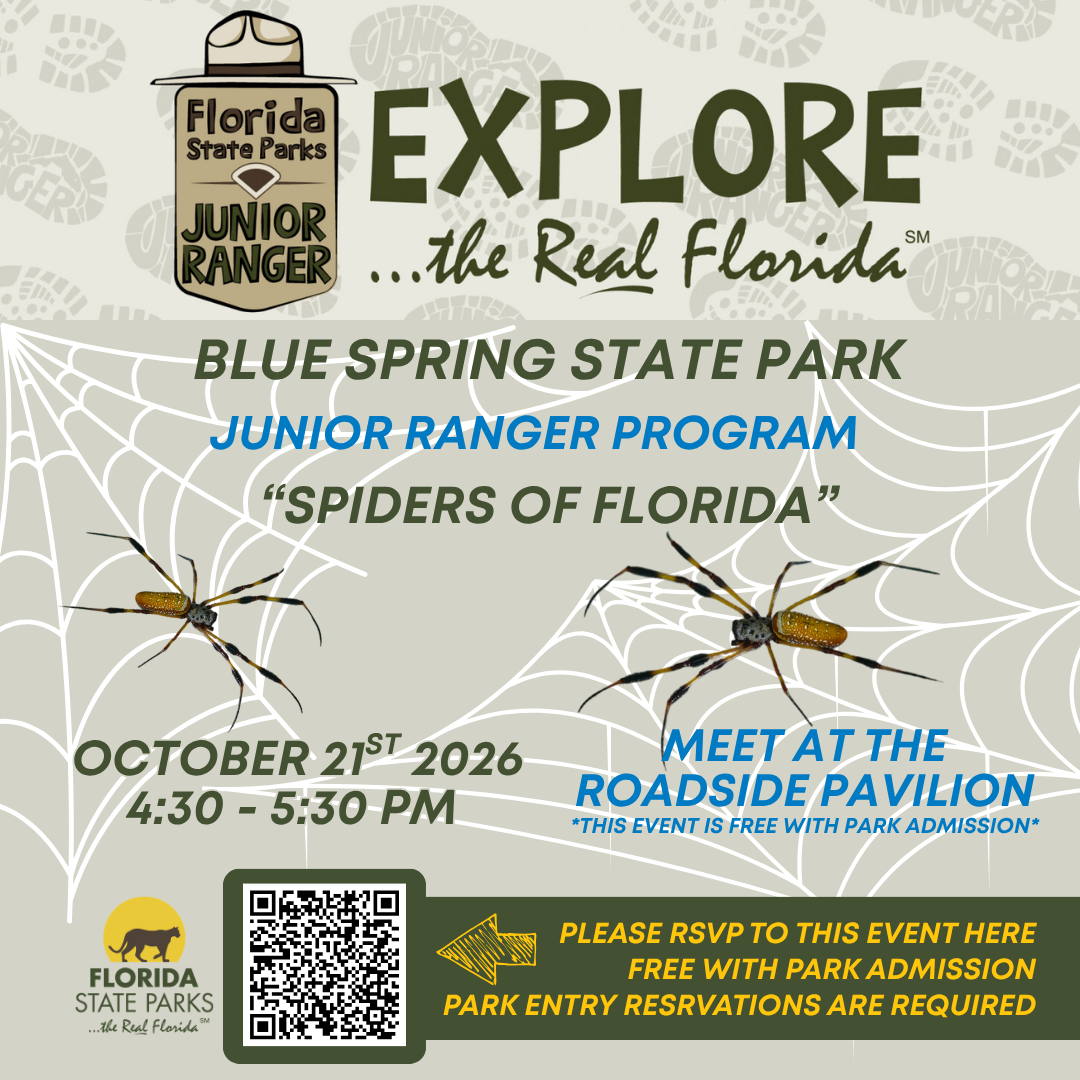 Junior Ranger Program: Spiders of Florida