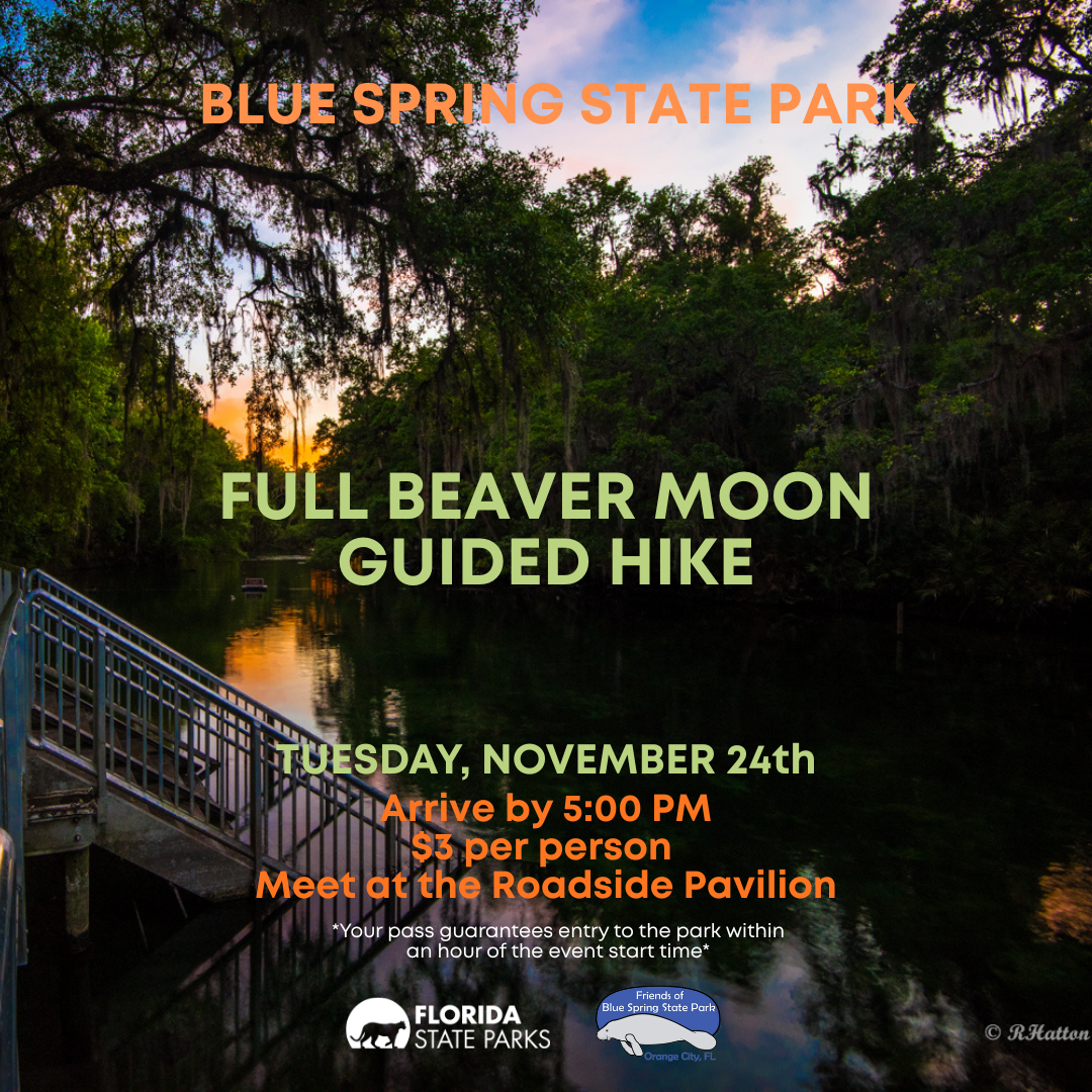 Full Beaver Moon Guided Hike