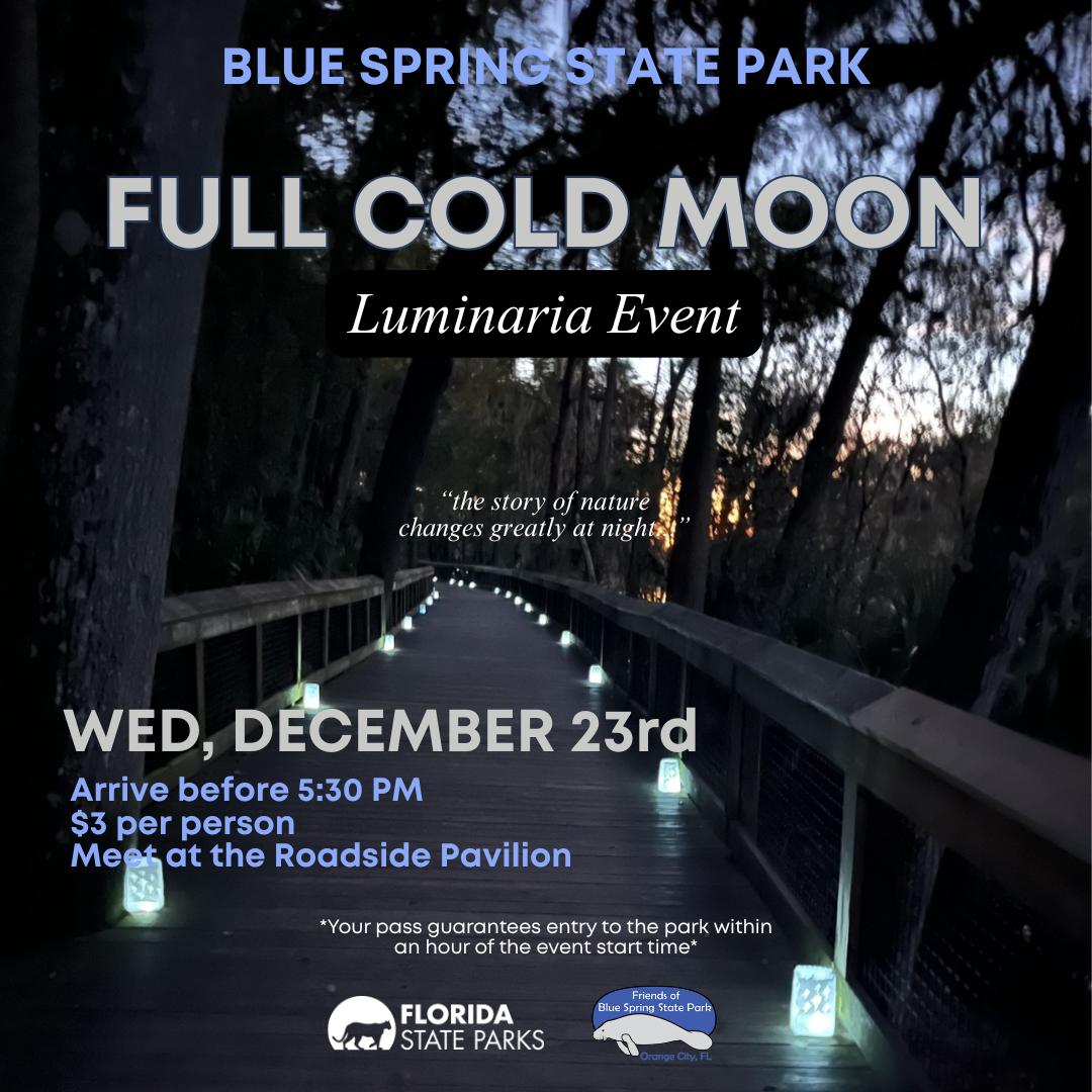 Full Cold Moon Guided Hike &amp; Luminaria Event