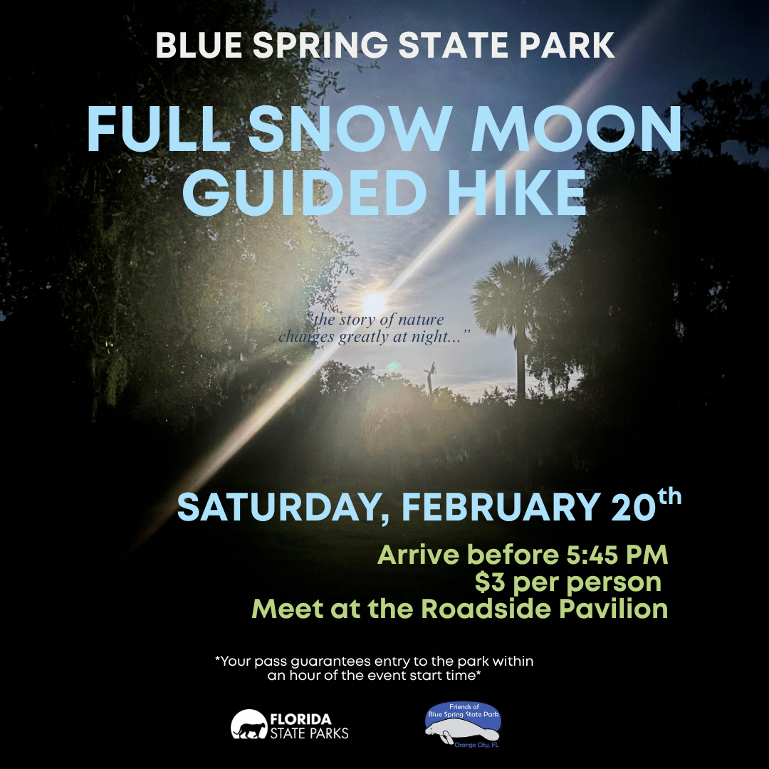 Full Snow Moon Guided Hike