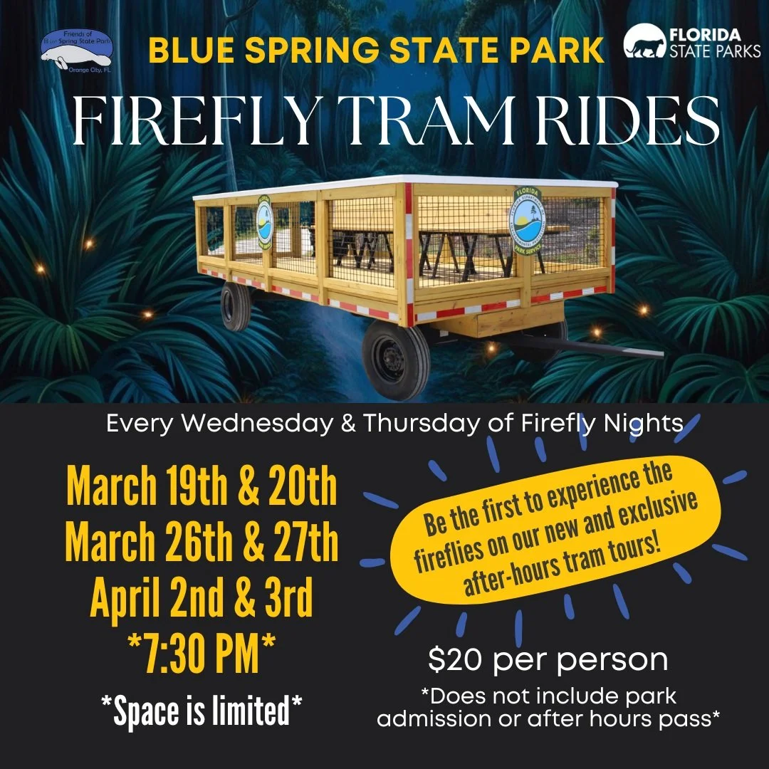 Firefly tram no qr.jpg