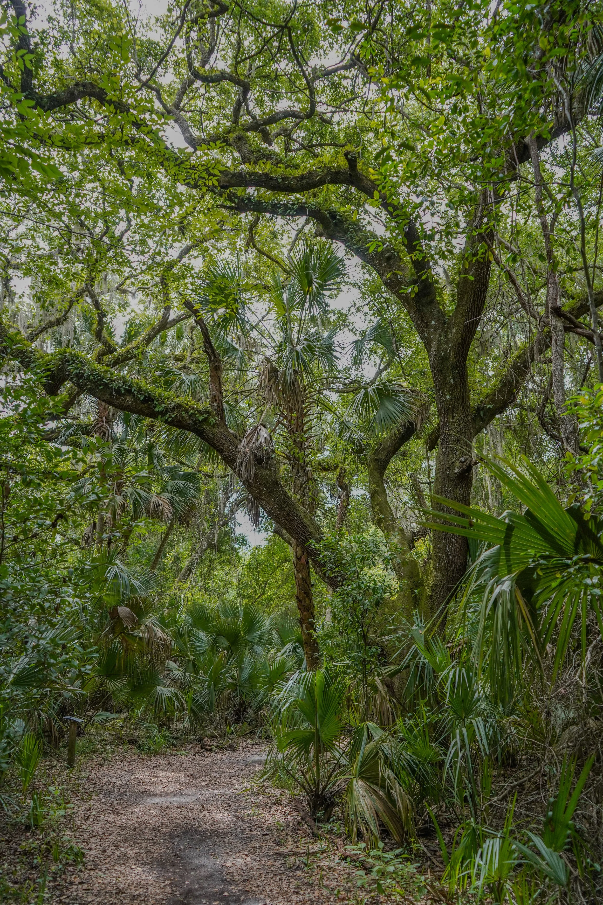 Pine Island Trail