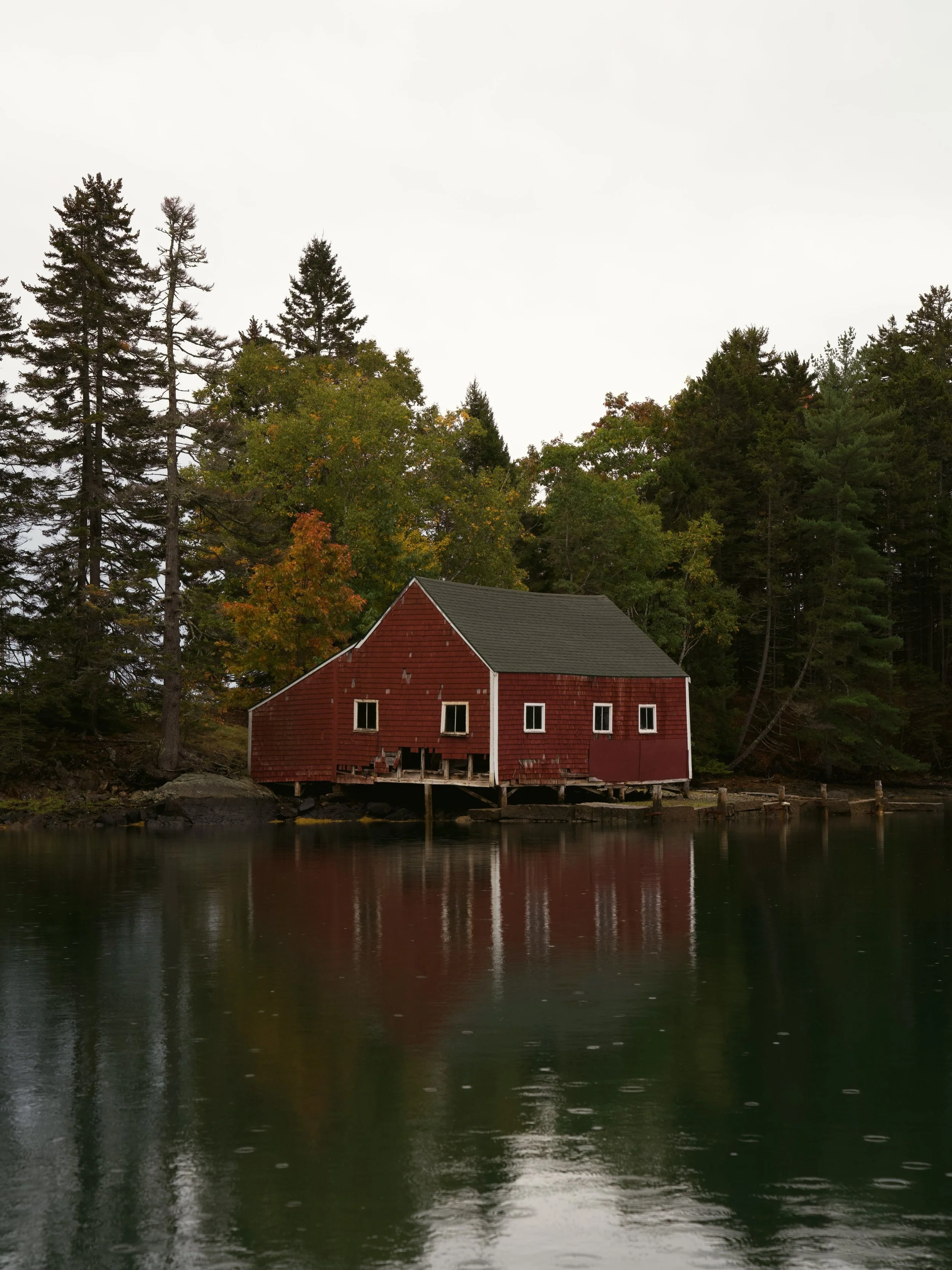 Still dreaming of this place in Brooksville, Maine, and this beautiful trip with @tuskbuilders.

Looking forward to sharing more of this wonderful cottage they brought back to life.