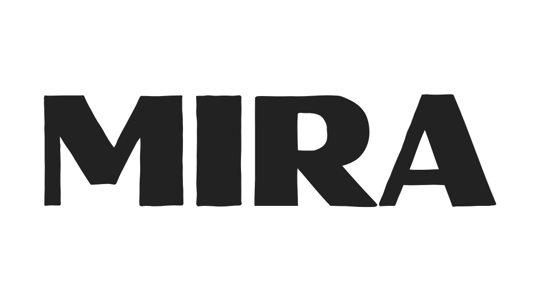 Rachael Larson - brand photographer / videographer 