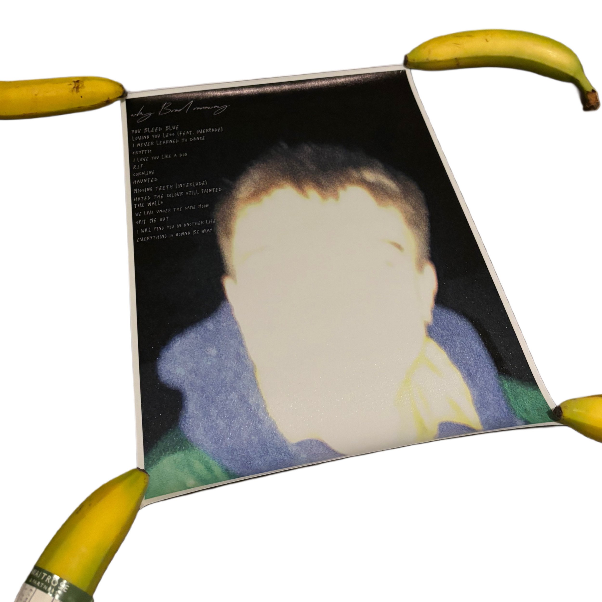 "Why Brad Ranaway" Poster
