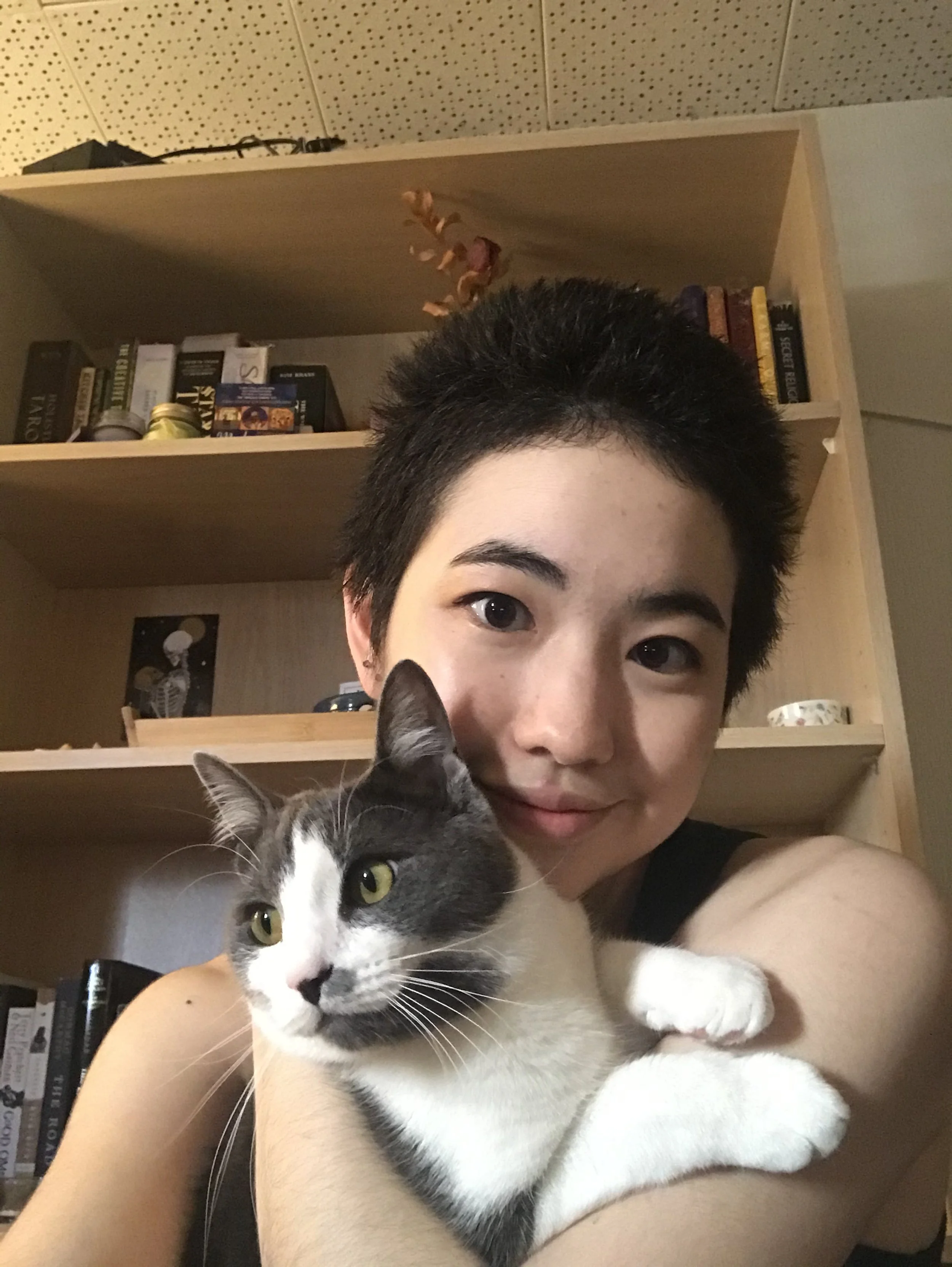 A person holding a grey and white cat in front of a wooden bookshelf filled with books and decorative items.