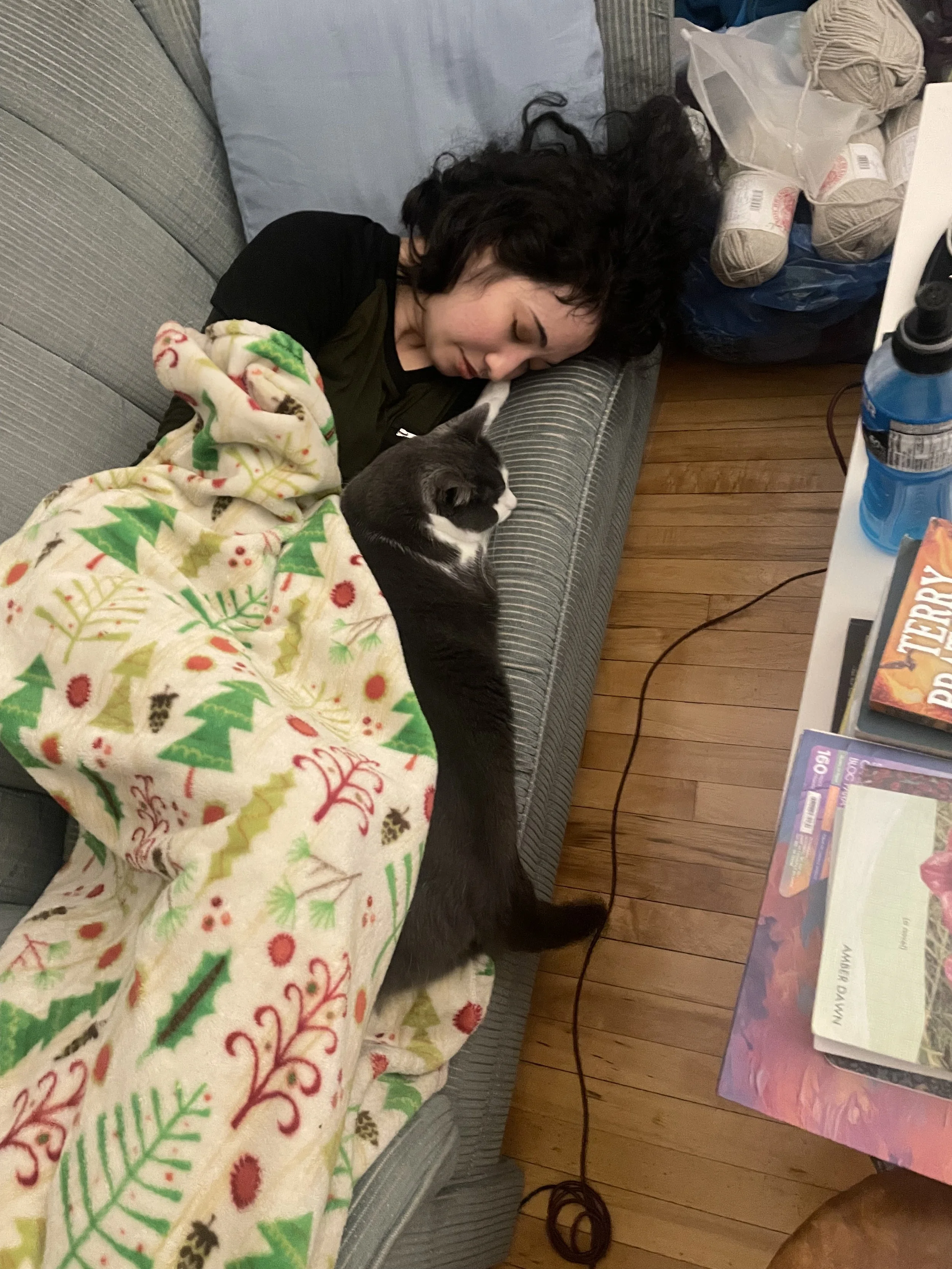 A person lying on a grey couch, sleeping next to a grey and white cat partially covered with a holiday-themed blanket, with in the background yarn and a water bottle on a white table.