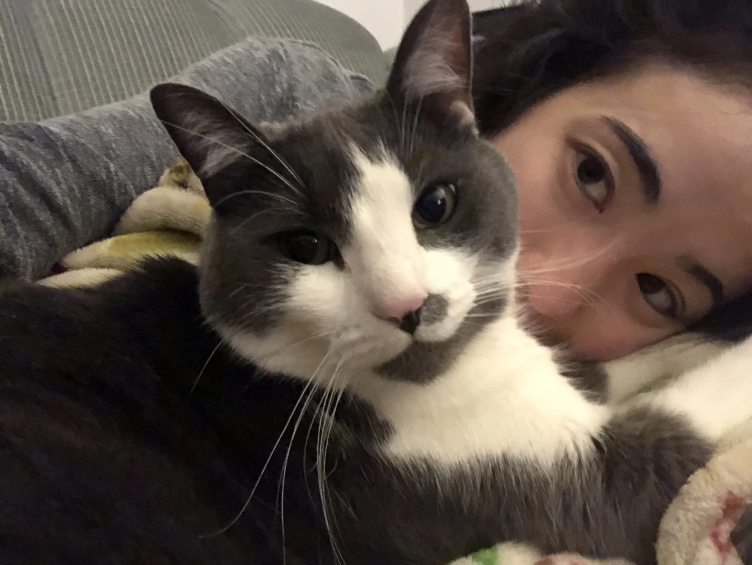 A dark-haired person and a grey and white cat lying close together on a couch.