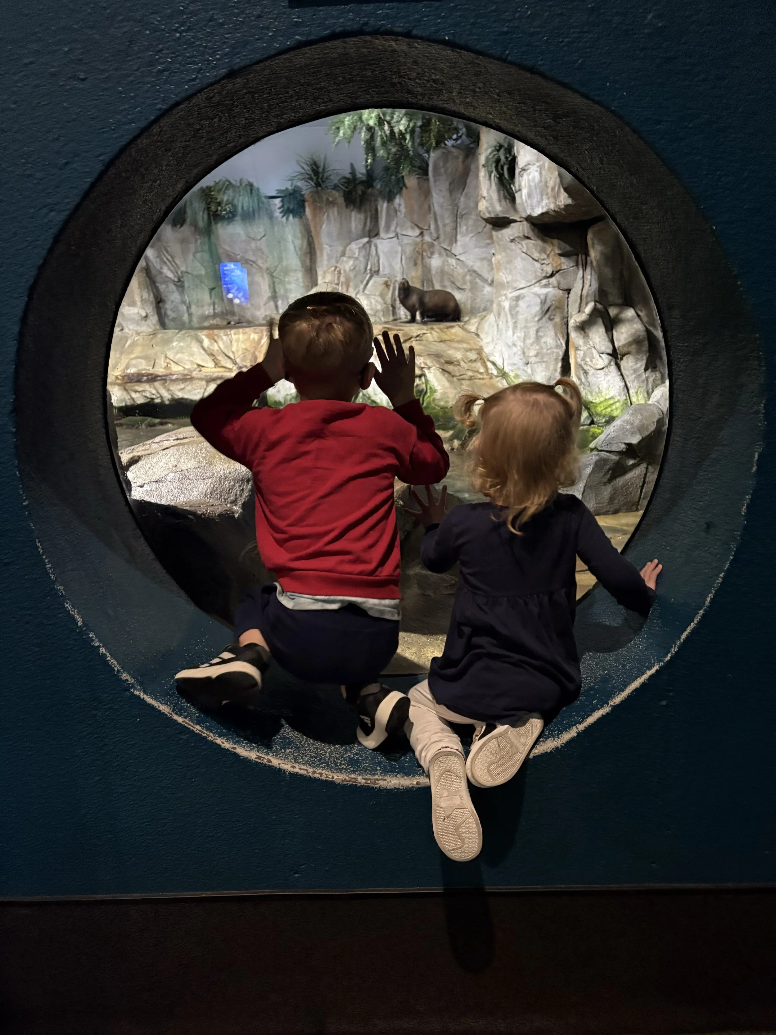 Two children looking through a round viewing window at a zoo exhibit with a capybara and trees.