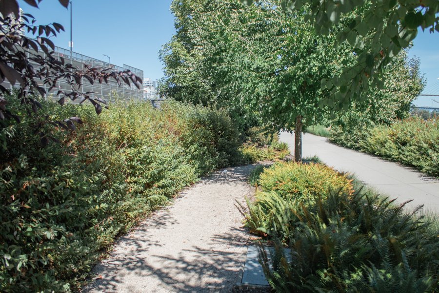 Project-NewWest-8212.jpg